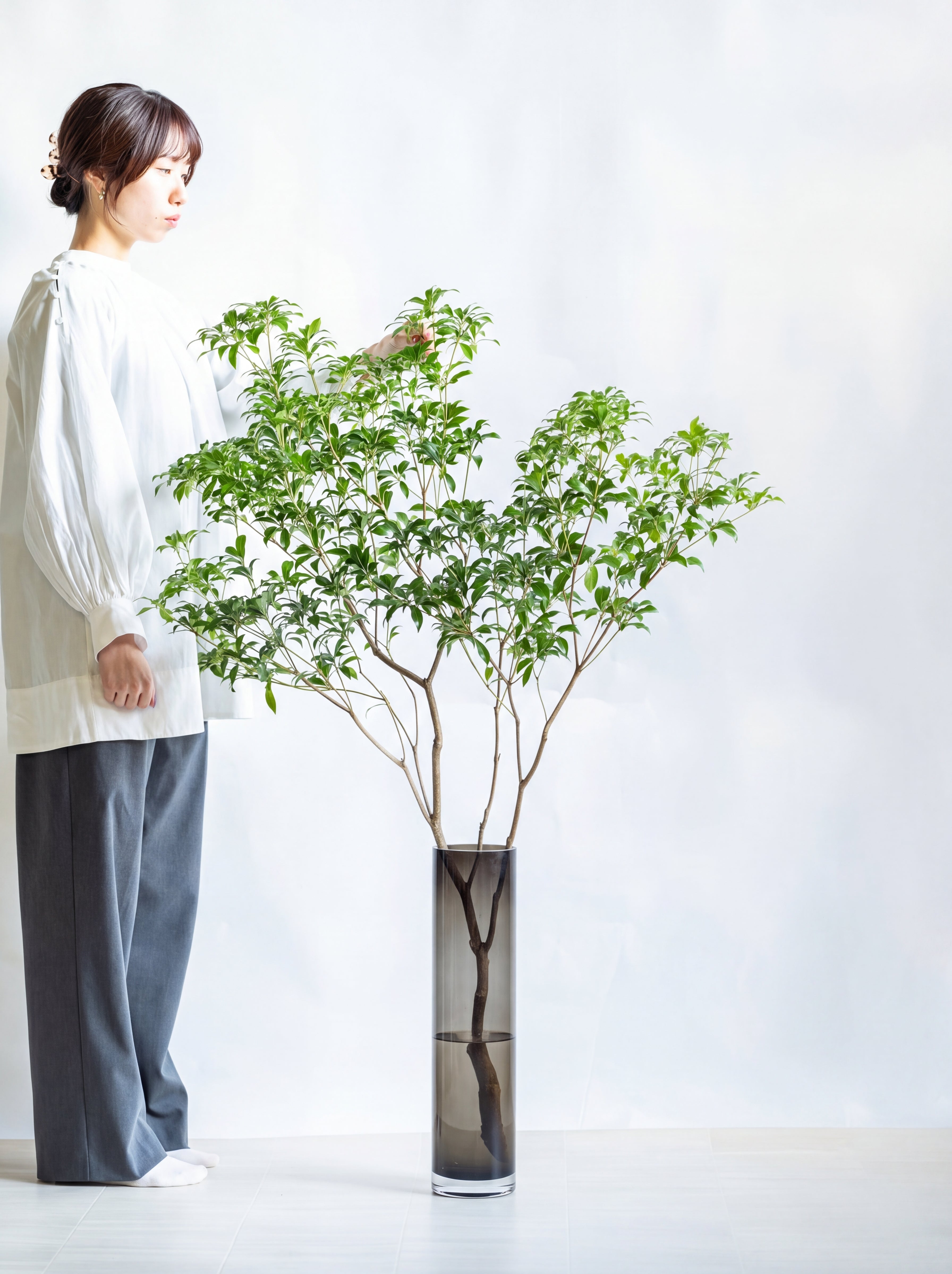 【新品】asca 人工観葉植物 アセビ１６本セット 枝物】アセビ | 観葉植物・お花の通販 AND PLANTS (アンドプランツ)
