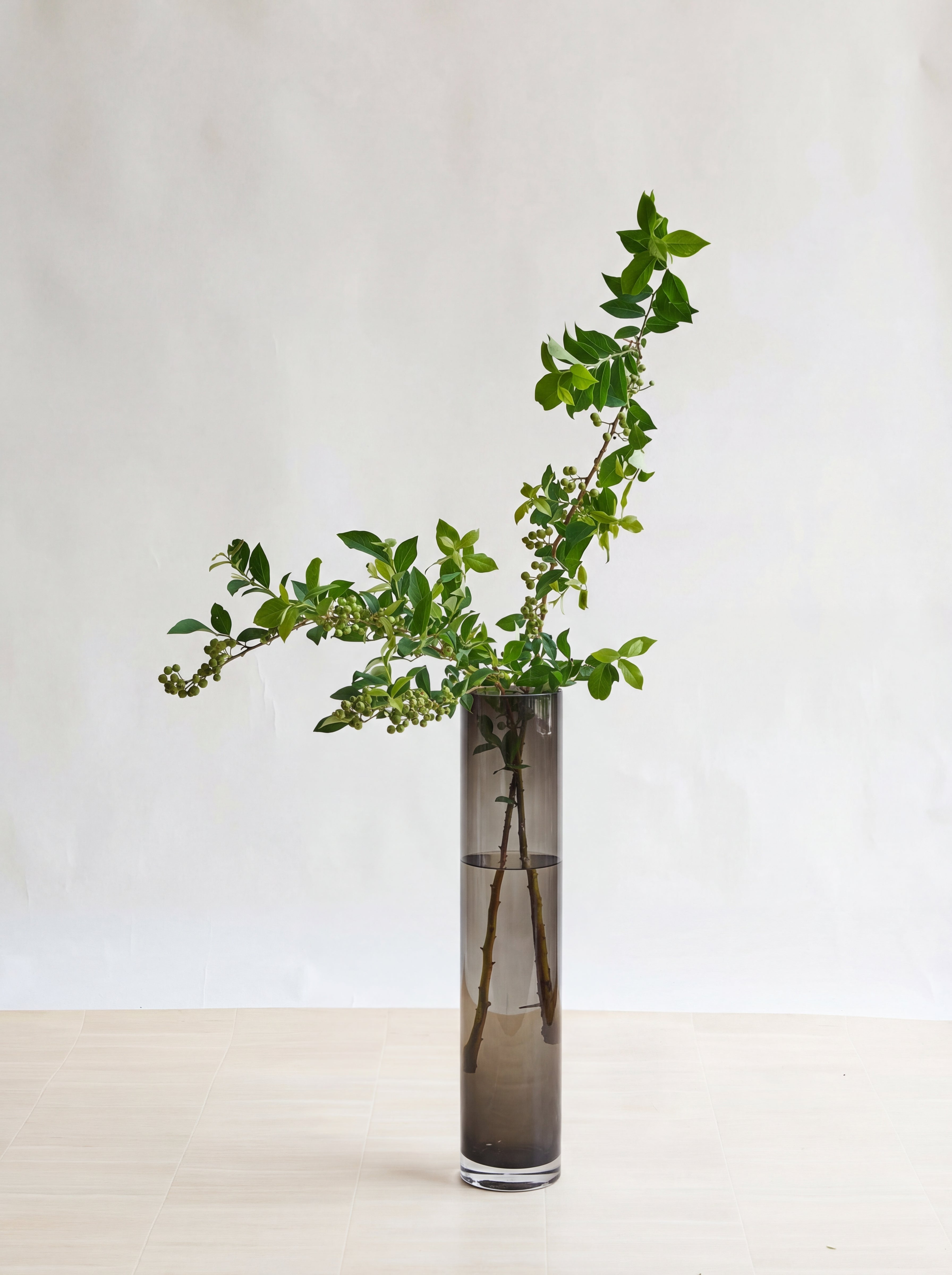 枝物】ブルーベリー | 観葉植物・お花の通販 AND PLANTS (アンドプランツ)