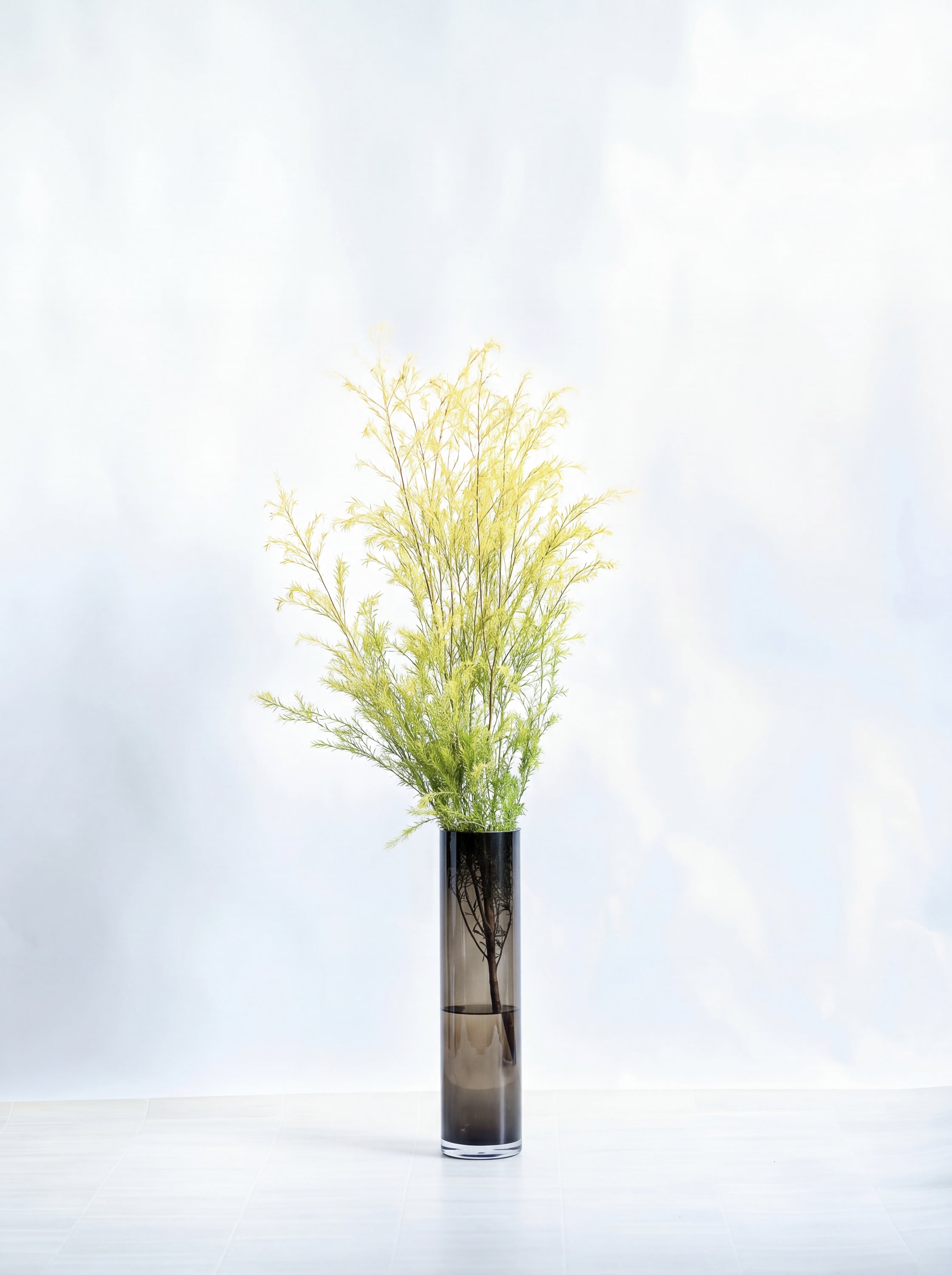 枝物】メラリューカ・レボリューションゴールド | 観葉植物・お花の 