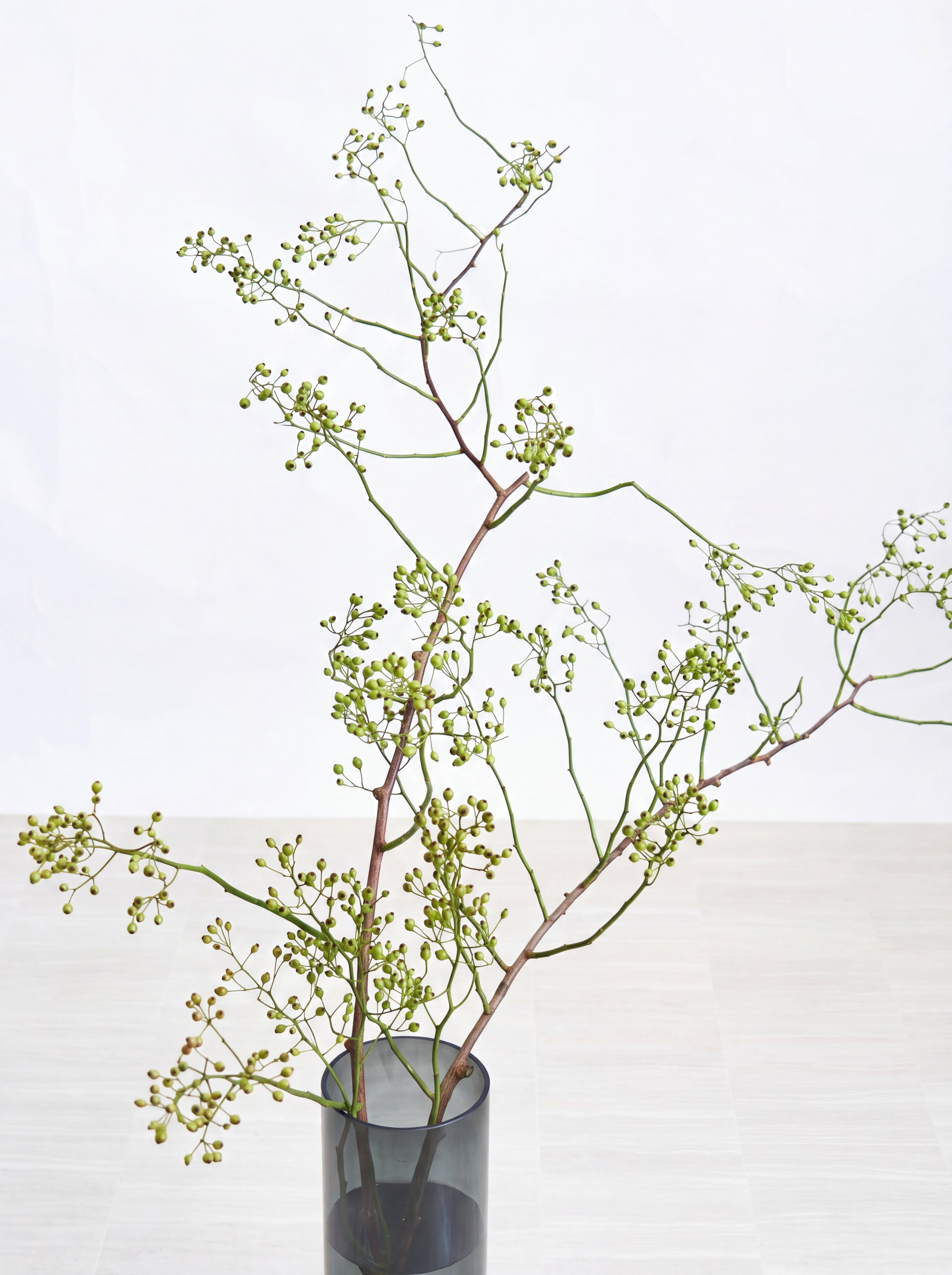 枝物】ノバラ | 観葉植物・お花の通販 AND PLANTS (アンドプランツ)