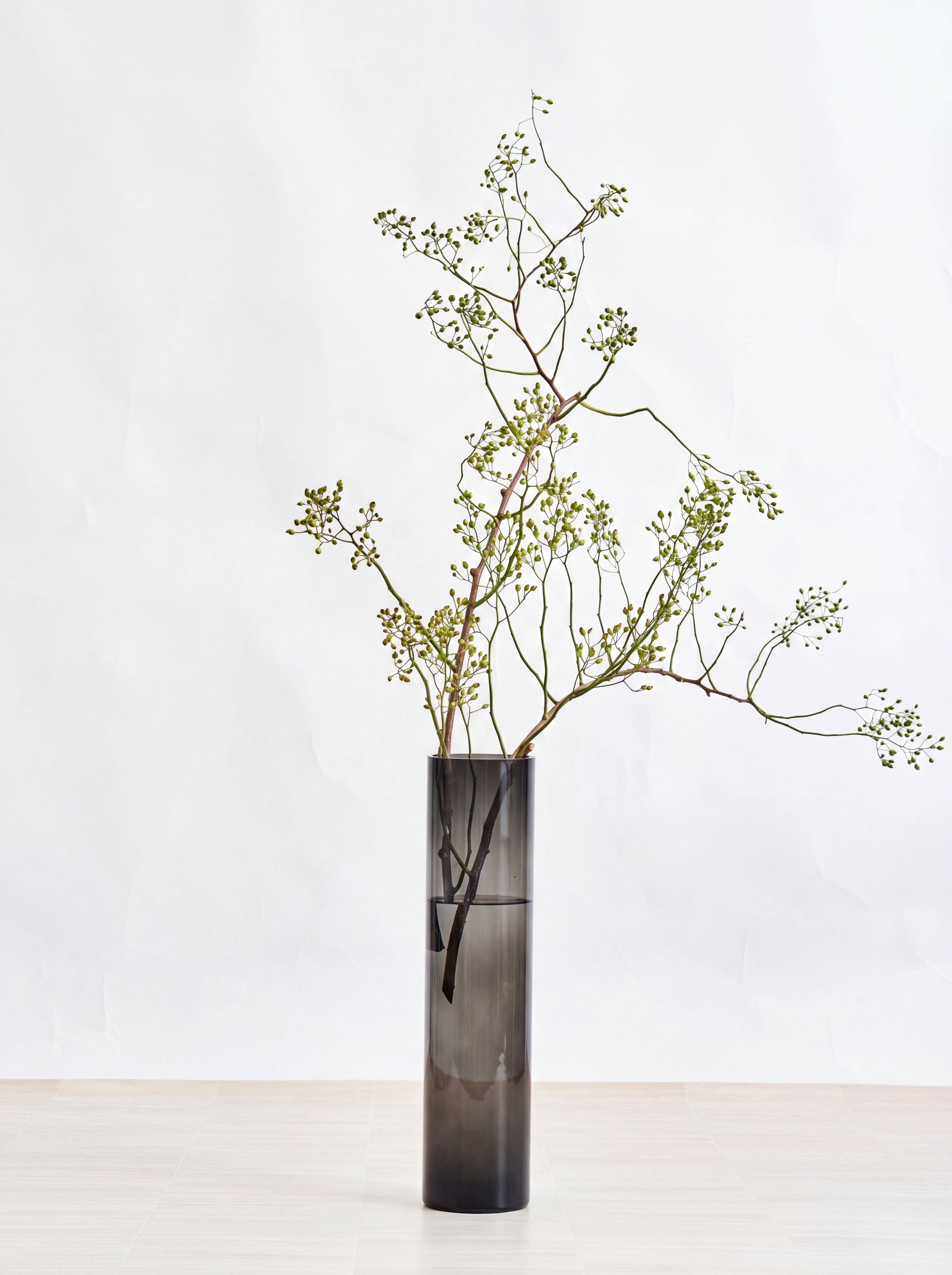 枝物】ノバラ | 観葉植物・お花の通販 AND PLANTS (アンドプランツ)