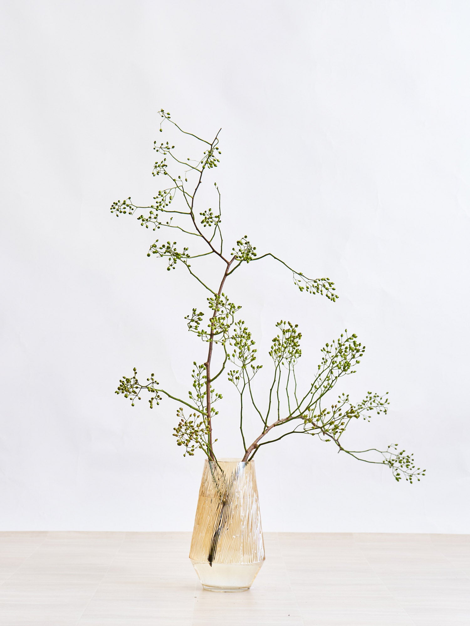 枝物】ノバラ | 観葉植物・お花の通販 AND PLANTS (アンドプランツ)