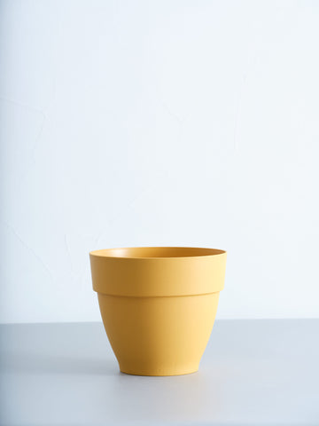 植木鉢 M elho vibia campana25