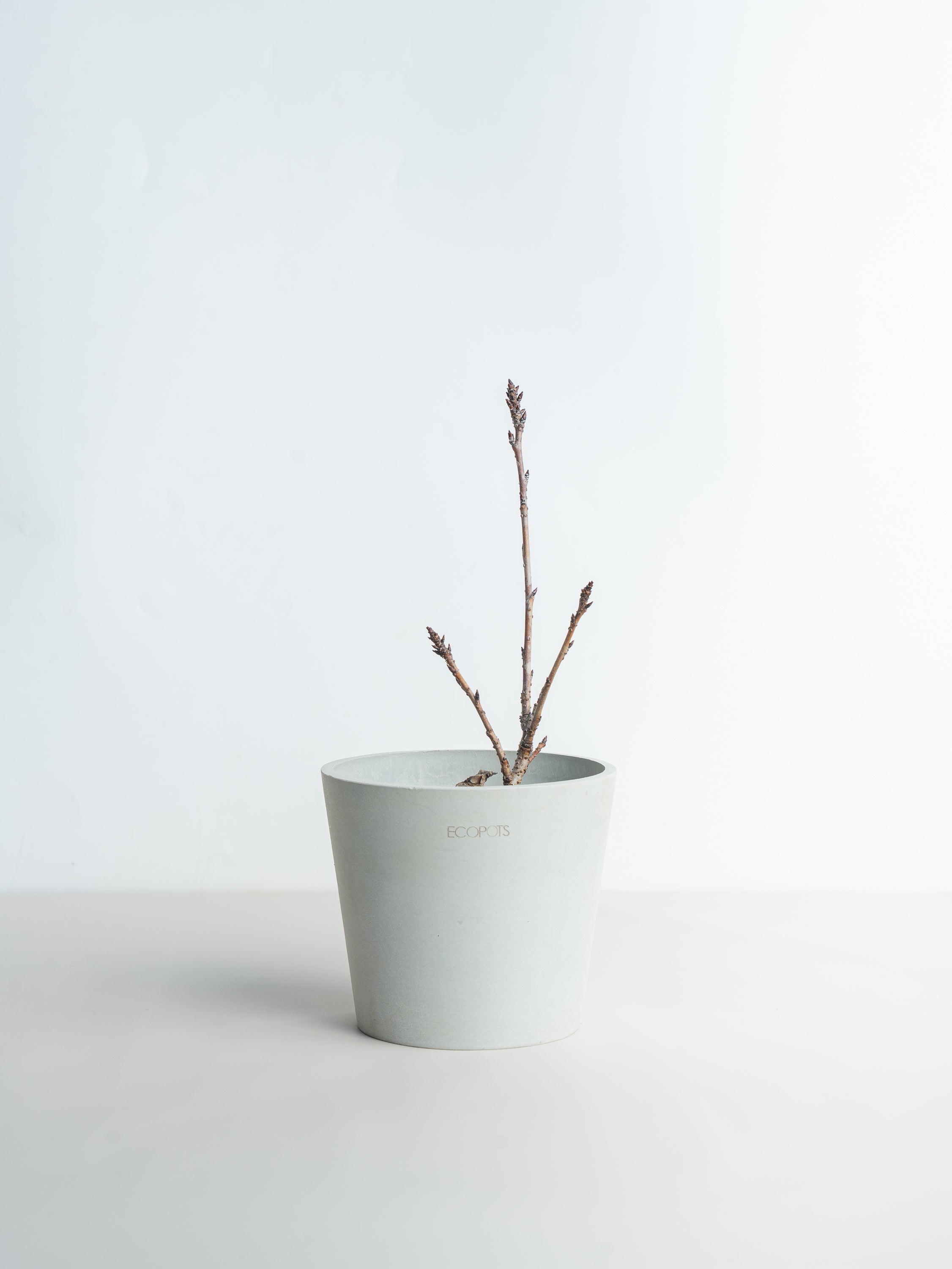 サクラ Lite Table-M