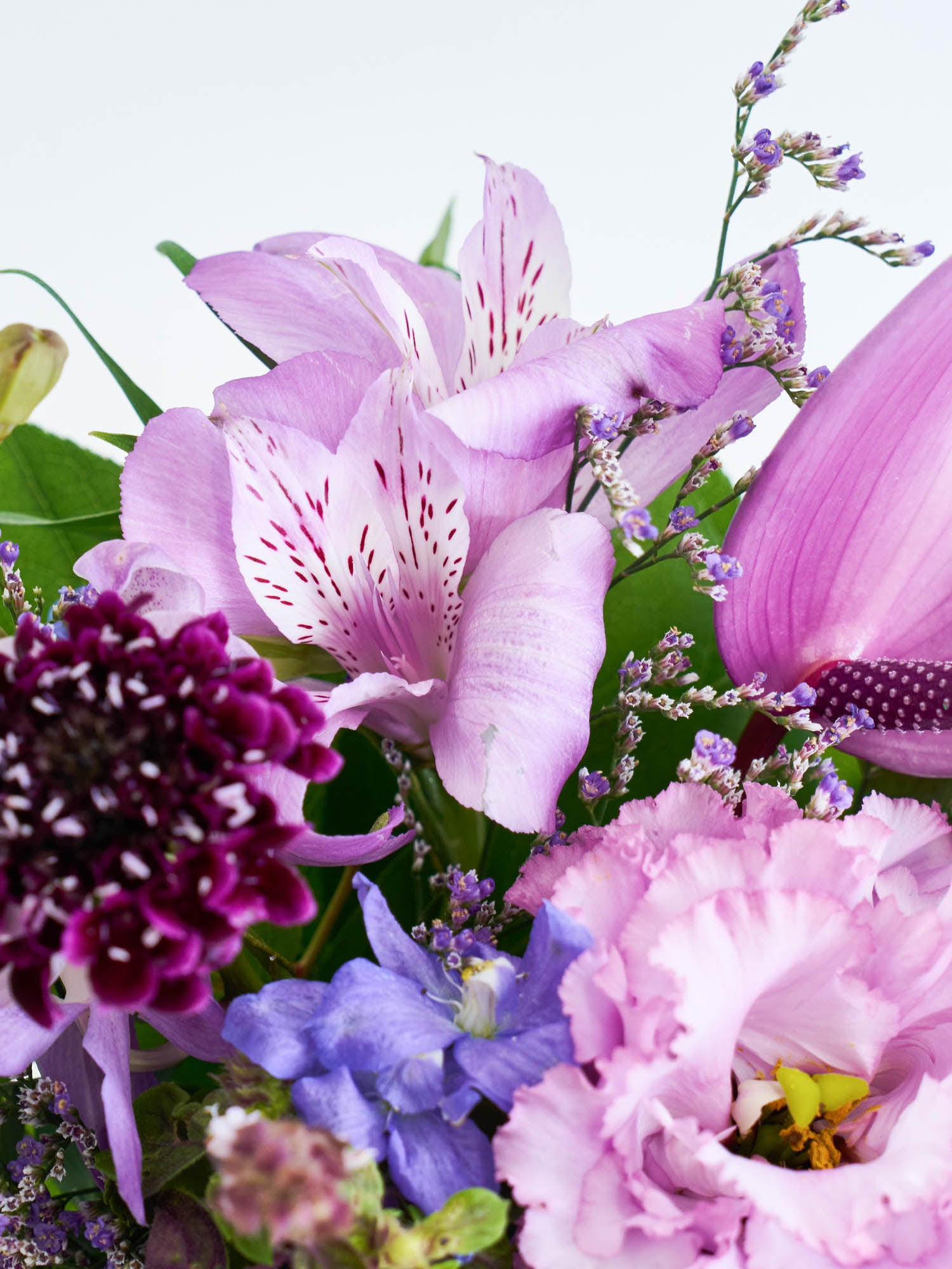 季節のおまかせアレンジメント S - パープル - | お花の通販AND FLOWER