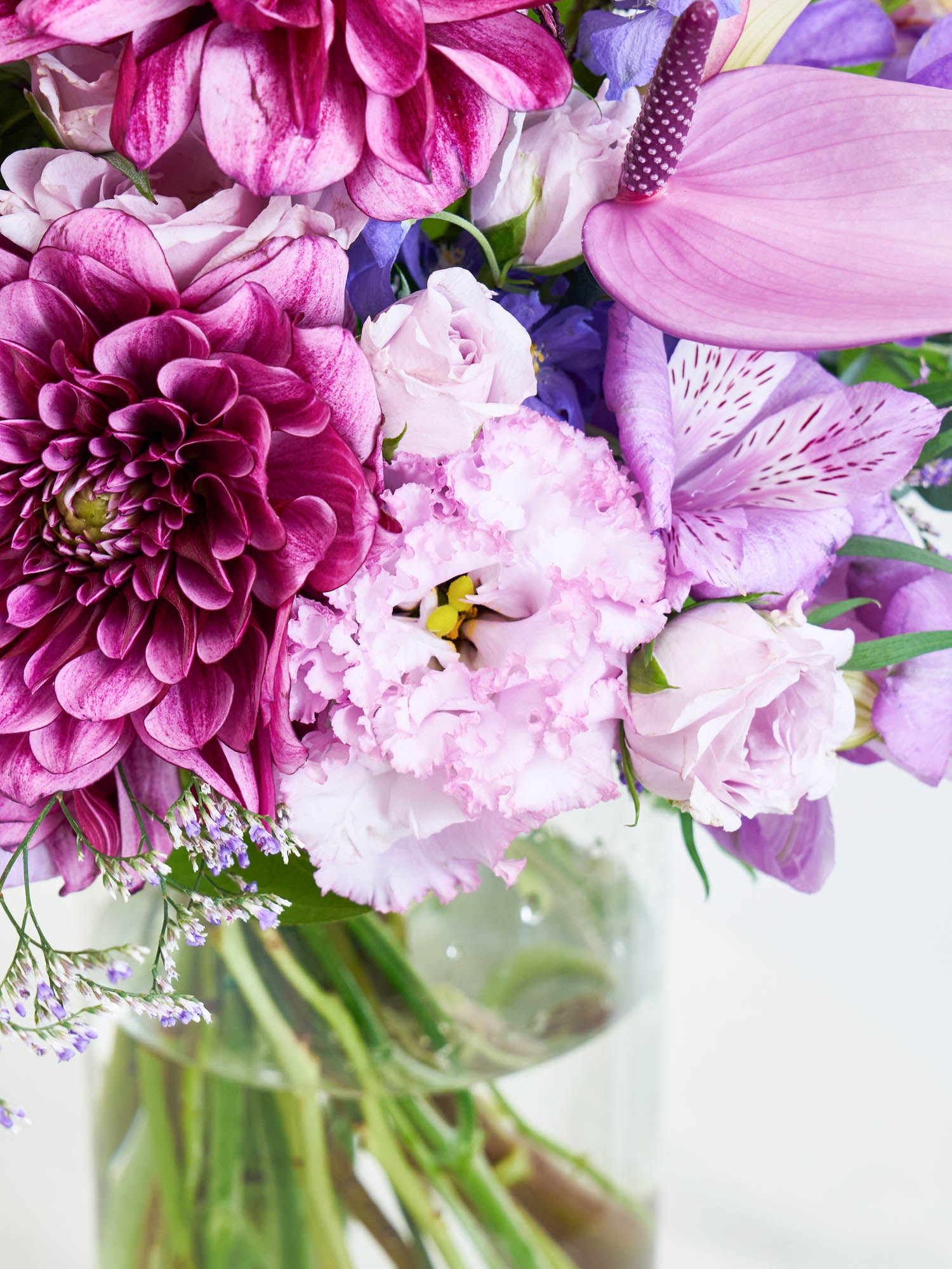 誕生日ギフト】季節のおまかせ花束 L - パープル - | お花の通販AND