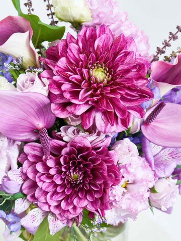 【誕生日ギフト】フローリストにおまかせ 季節の花束 L - パープル -