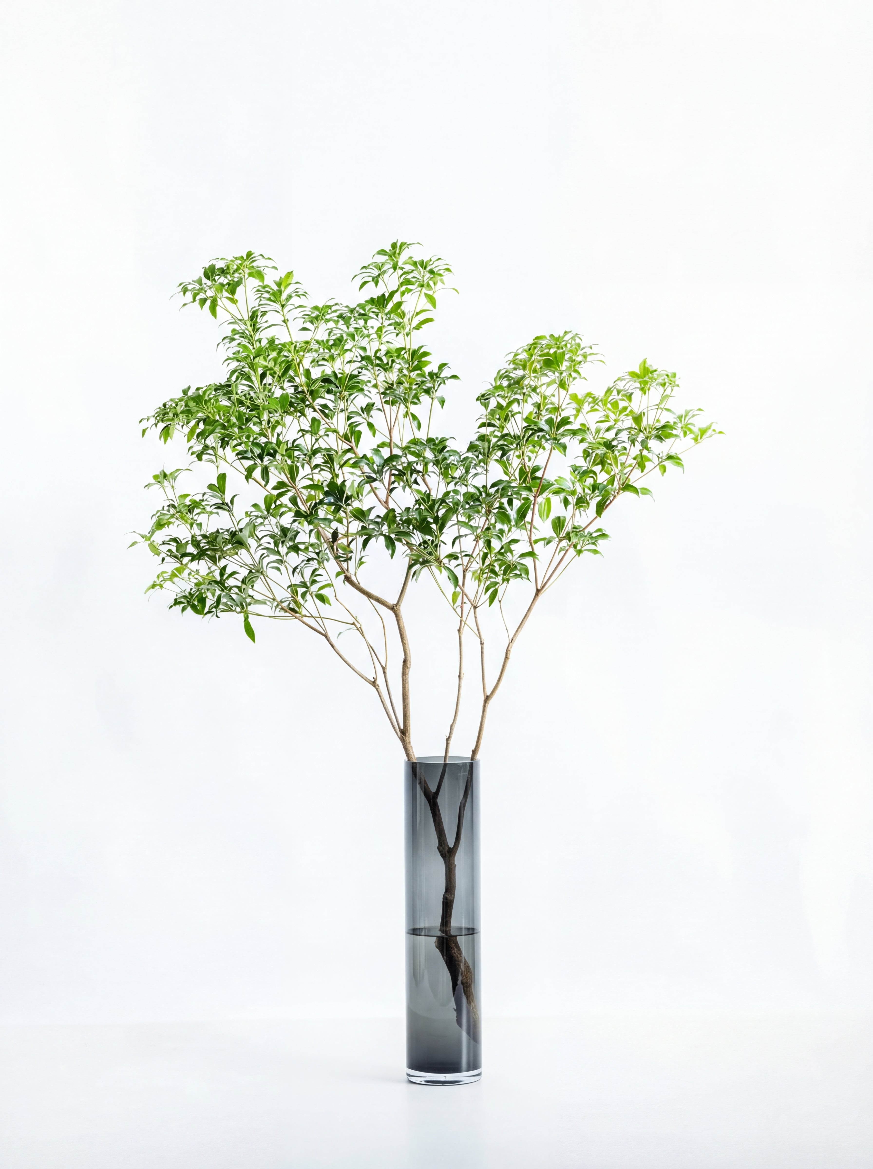 割れない花瓶 Cylinder Polycarbonate gray | お花の通販AND PLANTS