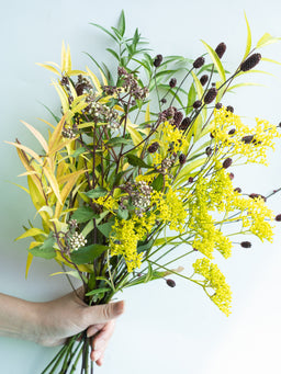 自宅で楽しむ花 - 秋の草花ミックス  8~10本 -
