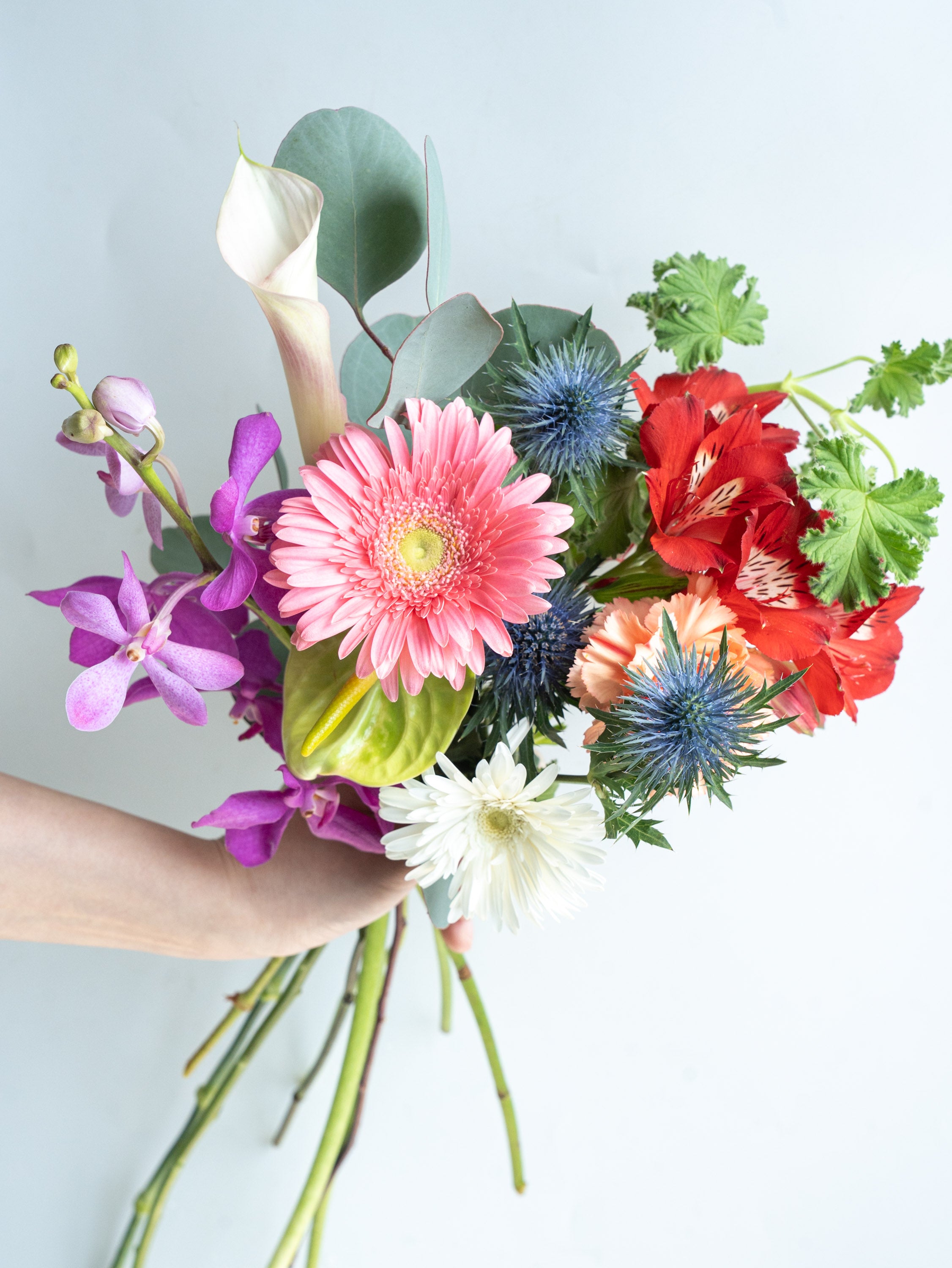 フローリストのおまかせ花束 8~10本 | 観葉植物・お花の通販 AND 
