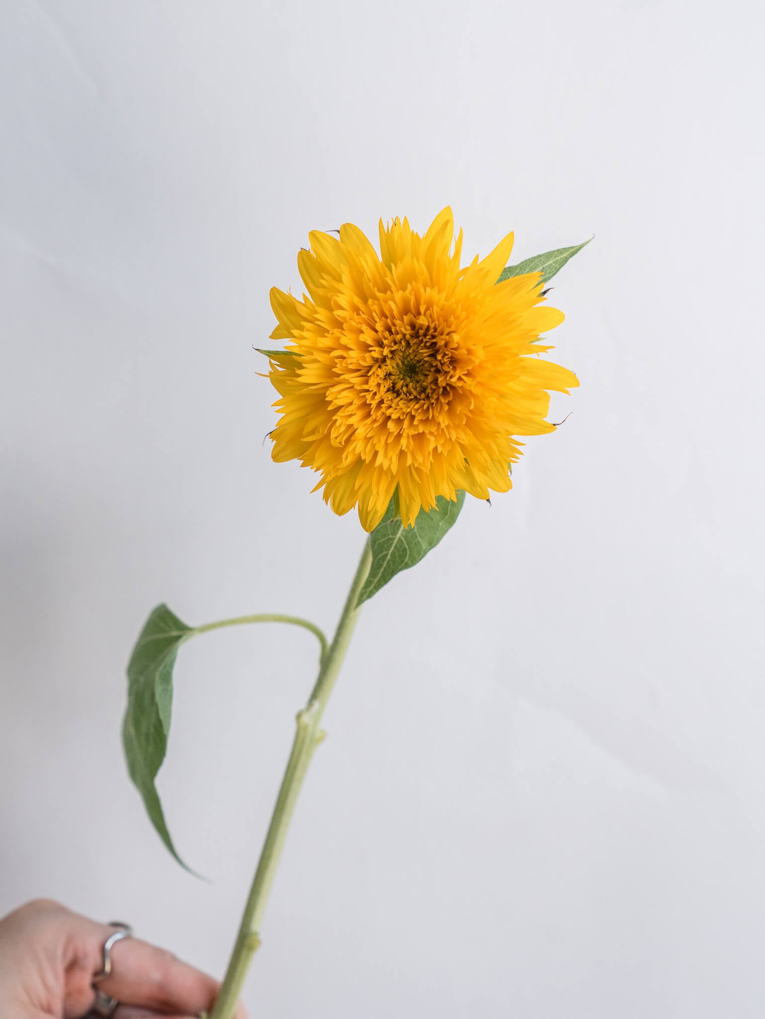 【やま】ひまわりカラーのお花ちゃん形オルゴナイト☆他８点 やま】ひまわりカラーのお花ちゃん形オルゴナイト☆他8点 kimie