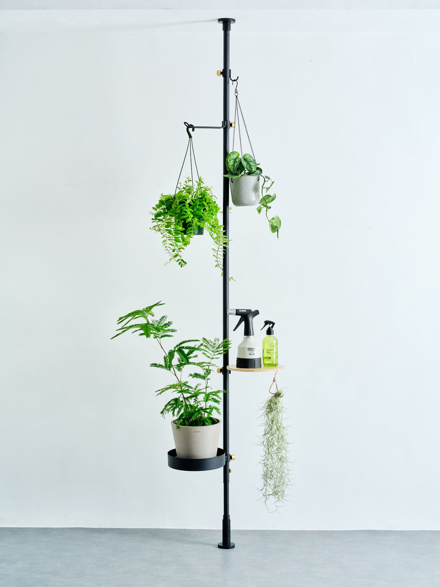 Rod C DRAW A LINE | 観葉植物・お花の通販 AND PLANTS (アンドプランツ)