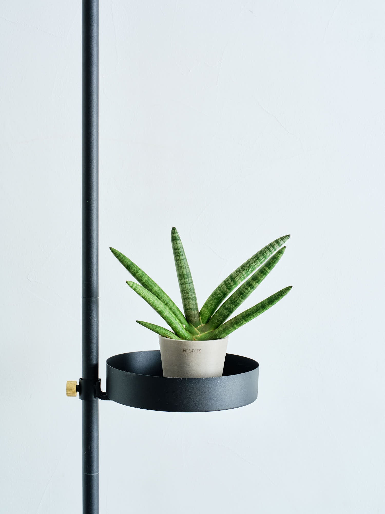Tray DRAW A LINE | 観葉植物・お花の通販 AND PLANTS (アンドプランツ)