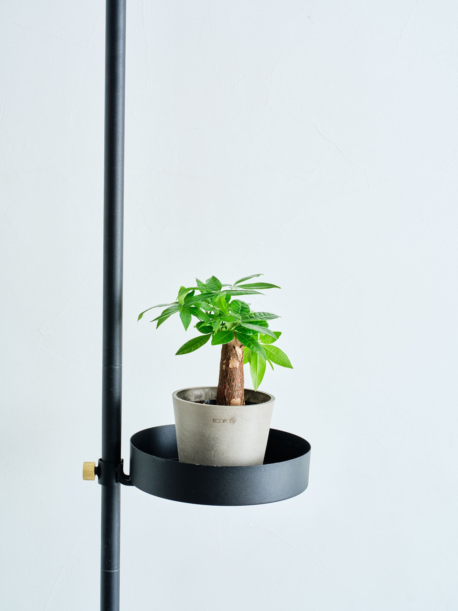 Tray DRAW A LINE | 観葉植物・お花の通販 AND PLANTS (アンドプランツ)