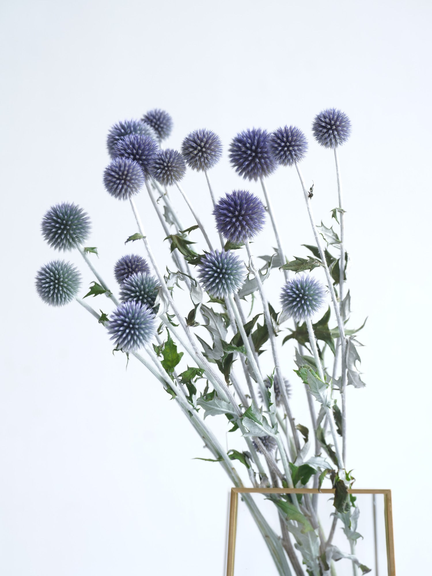ドライフラワー スワッグ❁71 紫陽花 瑠璃玉アザミ 紫 ホワイト 花束