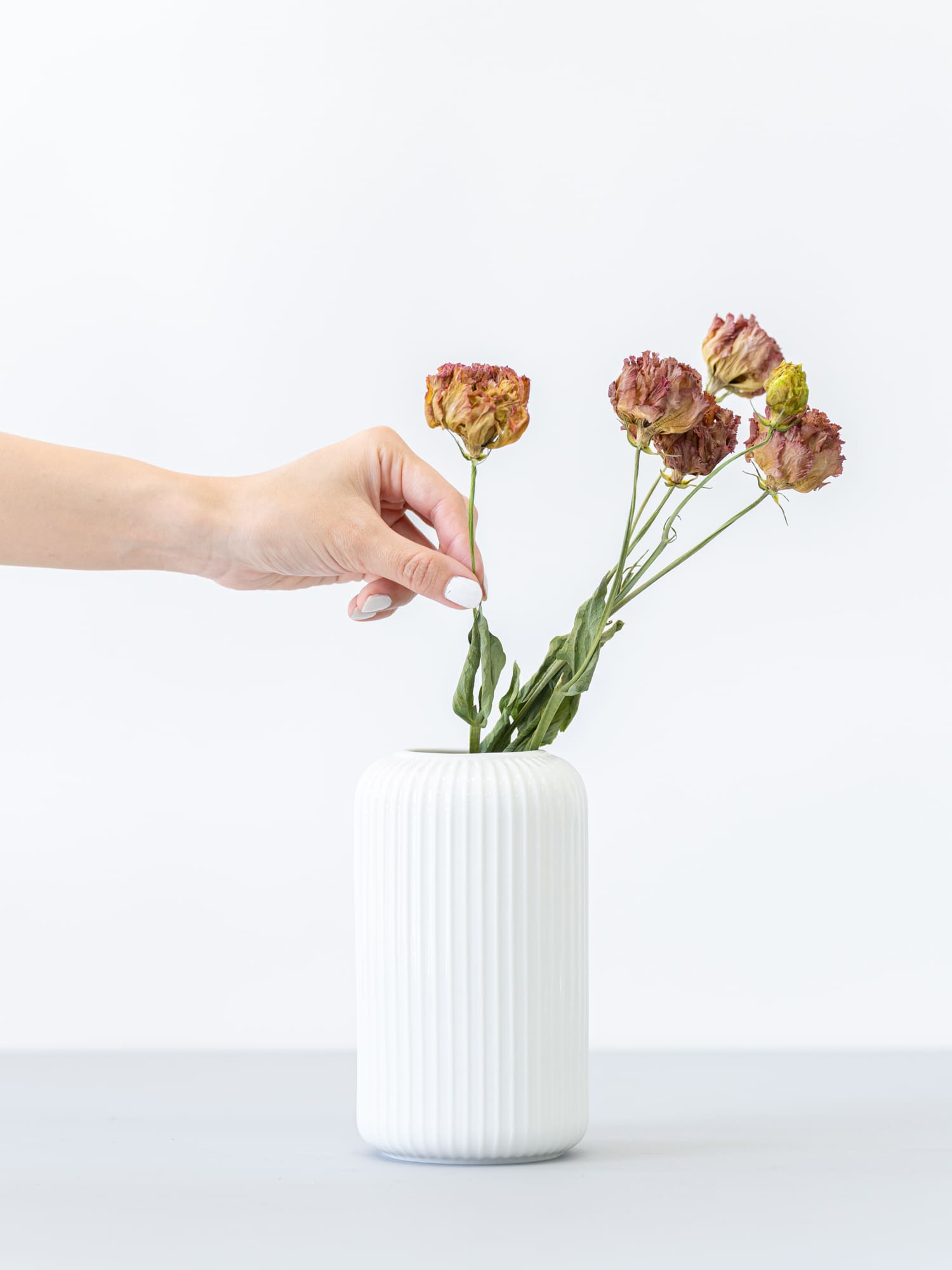 花瓶・フラワーベース | お花の通販 AND PLANTS (アンドプランツ)