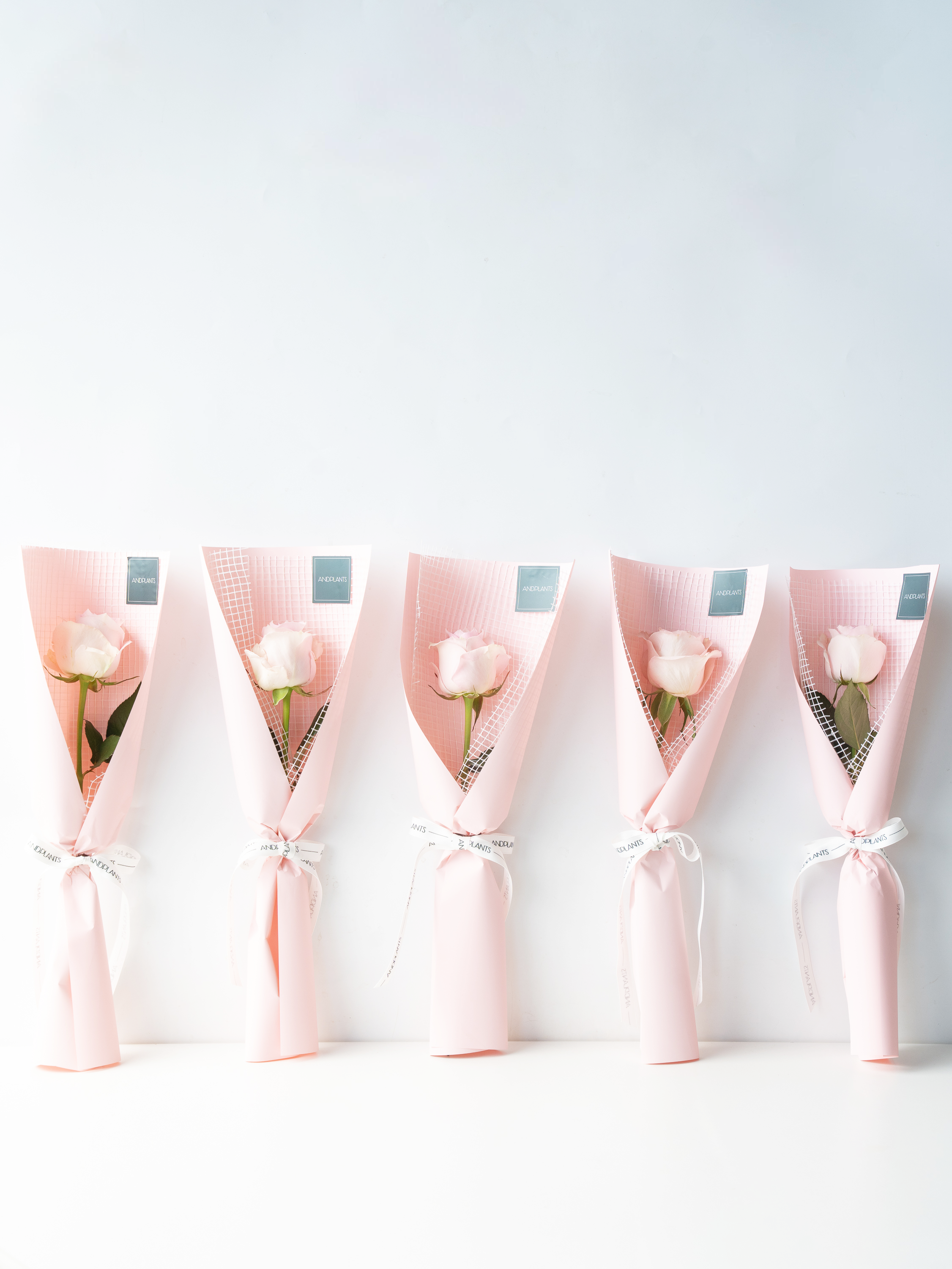 rose pink 様専用ページ♡ 【公式通販】
