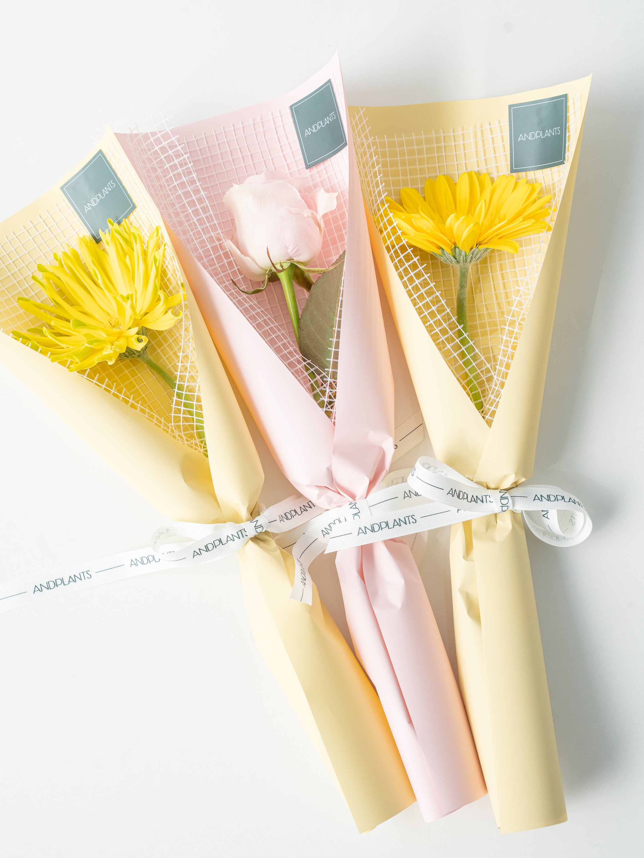 送別・お祝いなどに】生花1輪ラッピング - Gerbera × Yellow 5束セット