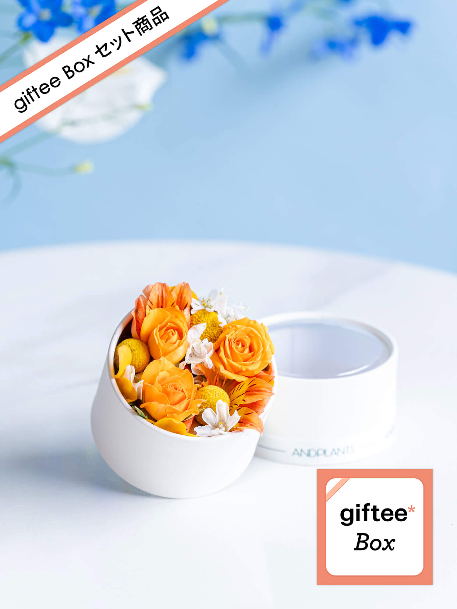 お相手が選べるギフト「giftee Box」とフラワーボックス オレンジのセット| お花の通販 AND PLANTS (アンドプランツ)