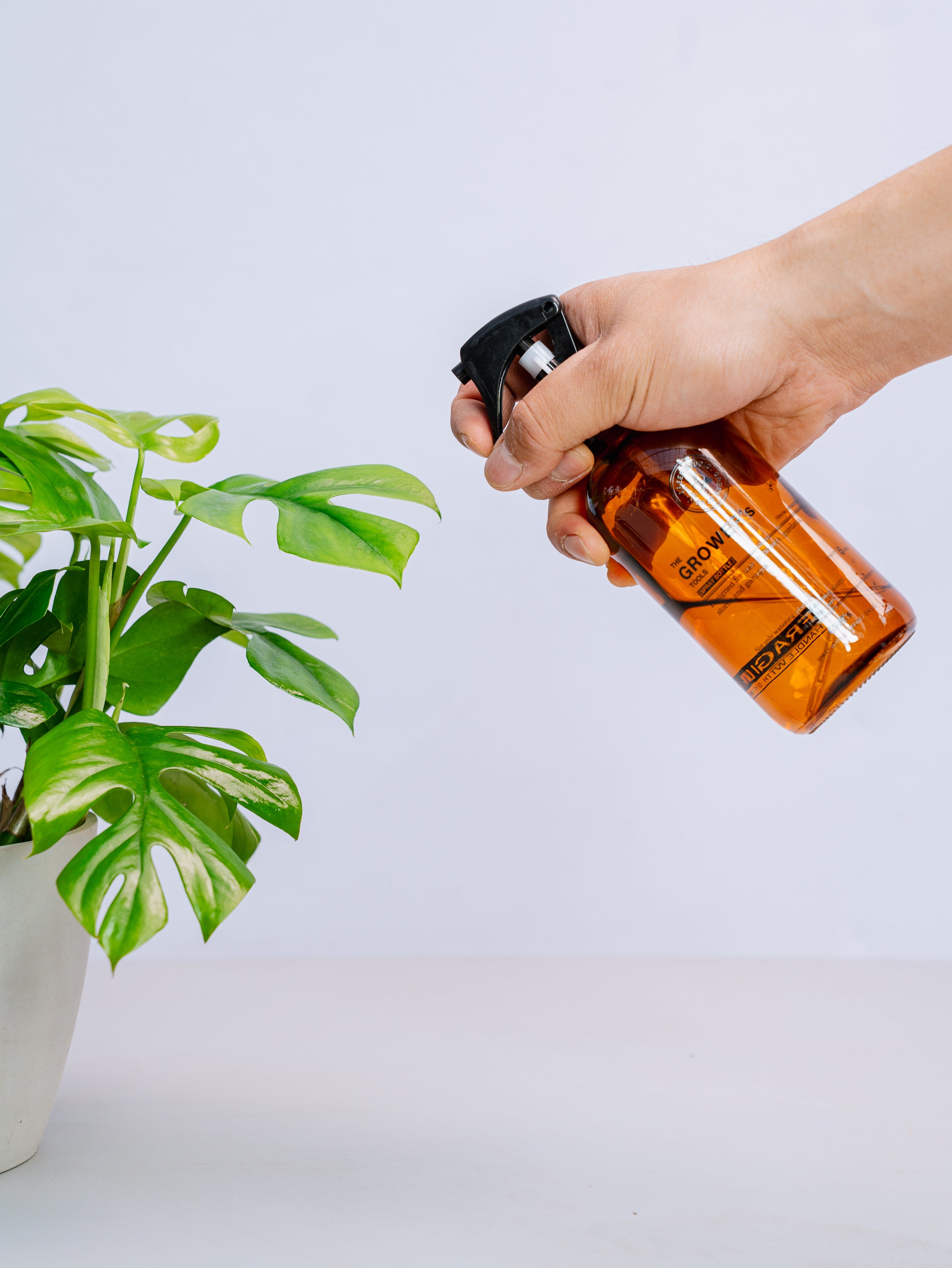 GWR's ガラス瓶霧吹き Amber | 観葉植物・お花の通販 AND PLANTS