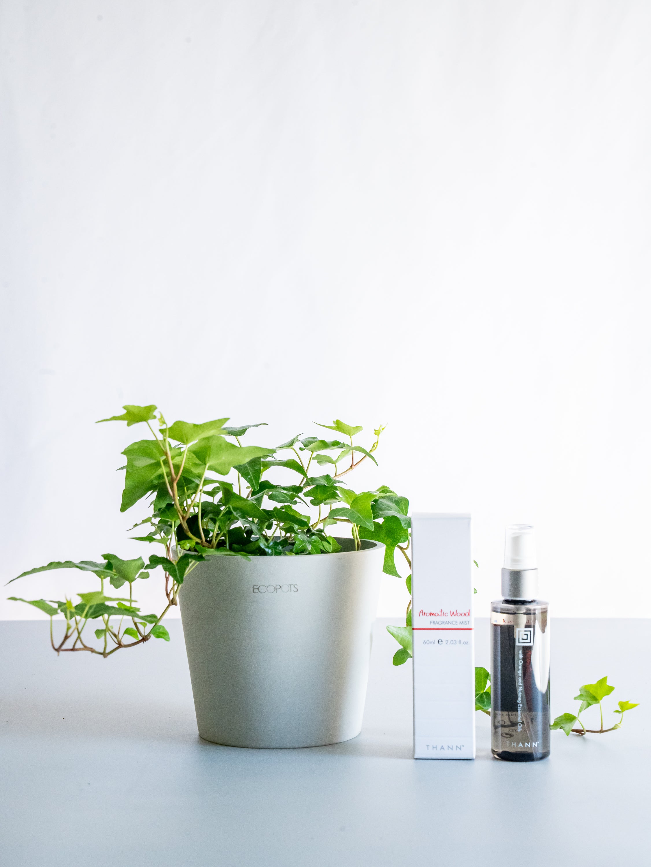 【クリスマスシリーズ