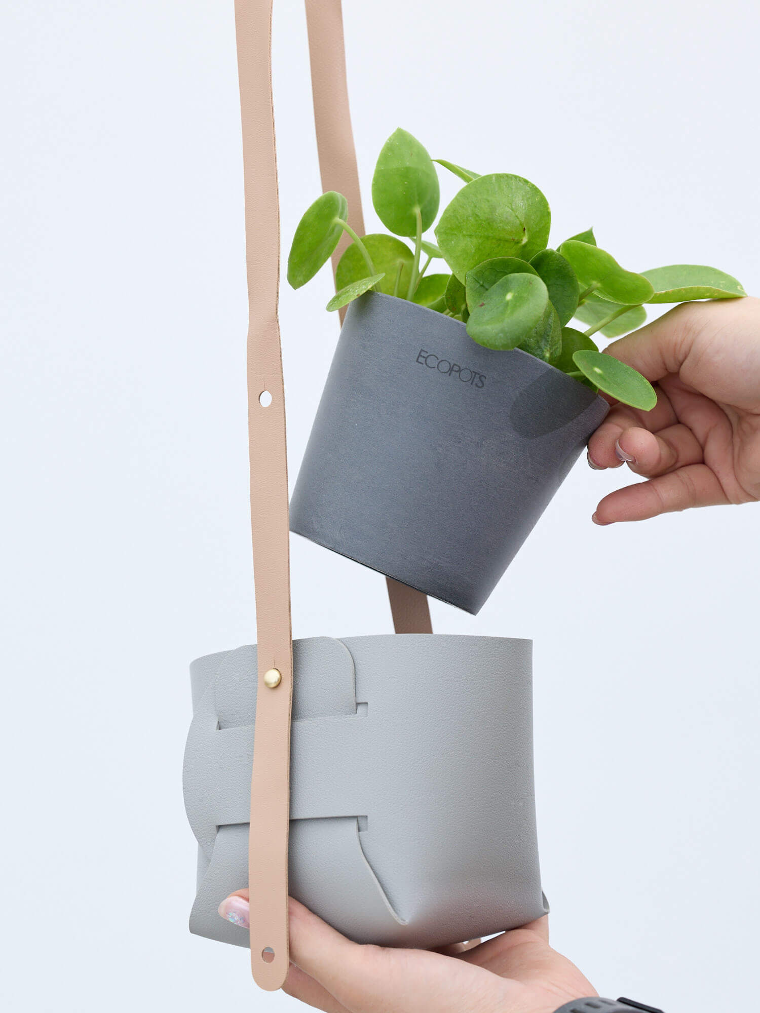 レザーポットハンギング グレー | 観葉植物・お花の通販 AND PLANTS