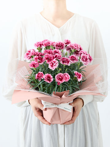 【母の日