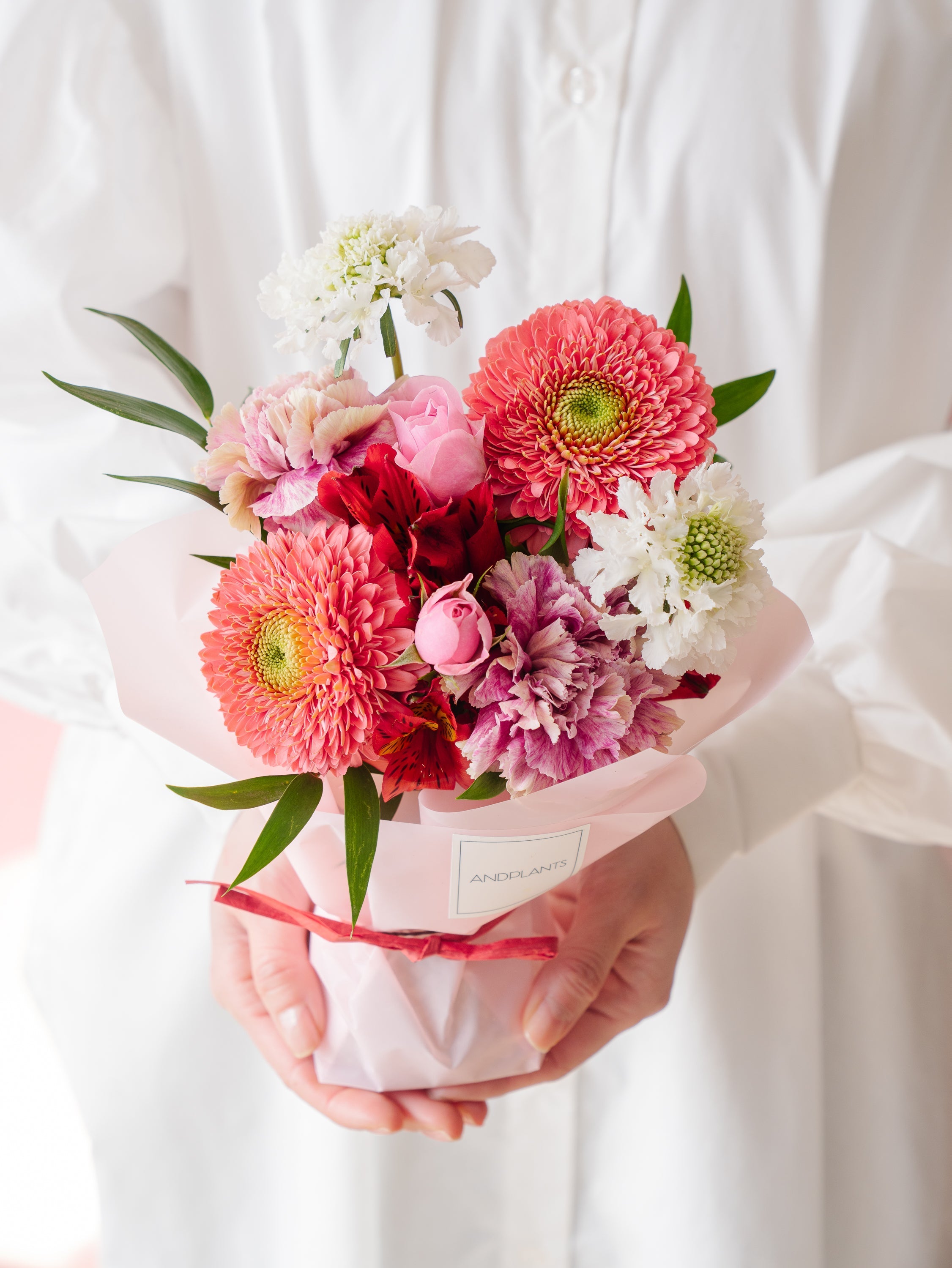 the other flower(花たん)『椿〜楓」6枚+購入特典付 the other flower(花たん)『椿〜楓」6枚+購入特典付 【公式通販】