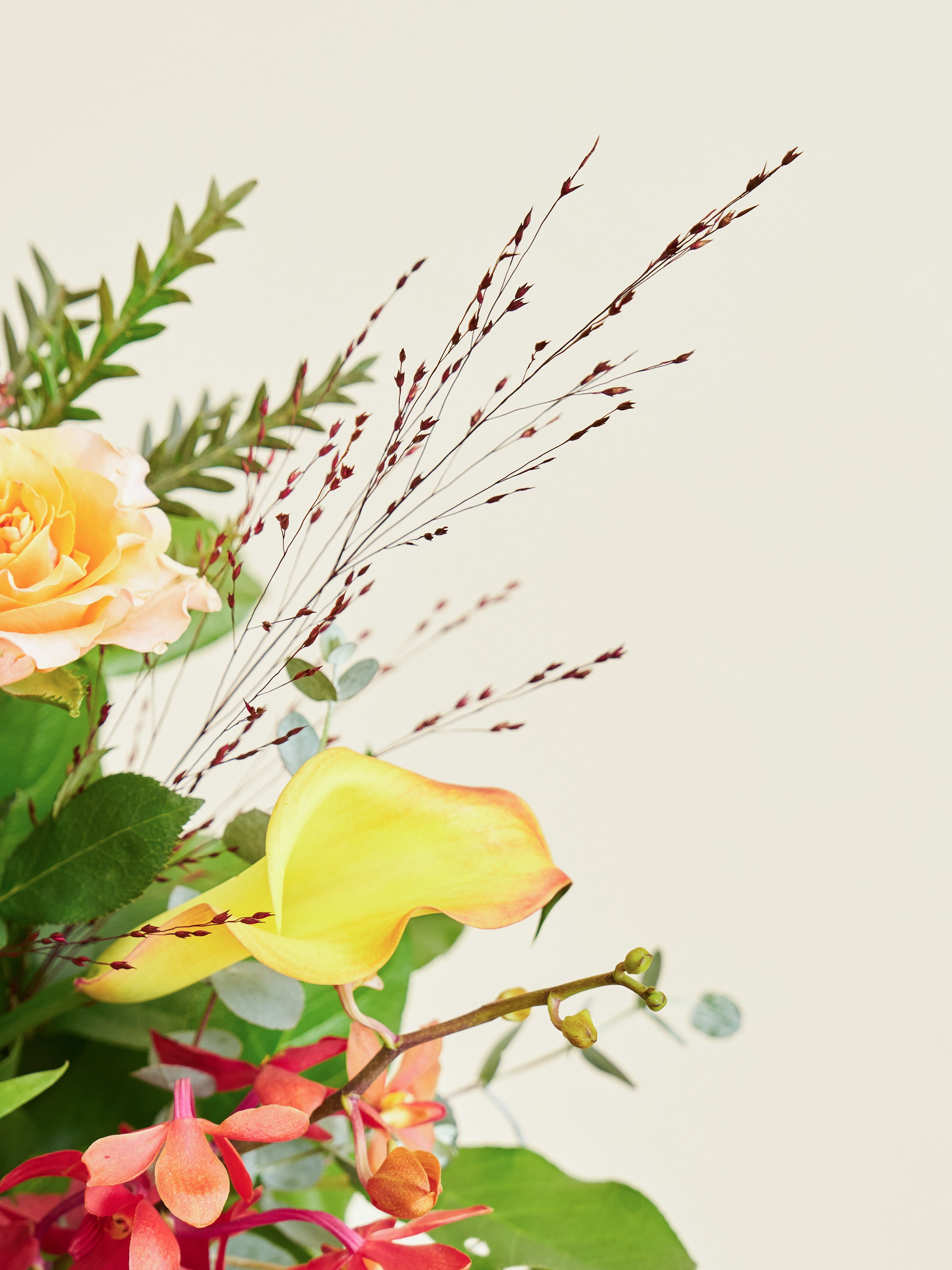 オータムシリーズ'25】秋色マムのアレンジメントL | お花の通販AND