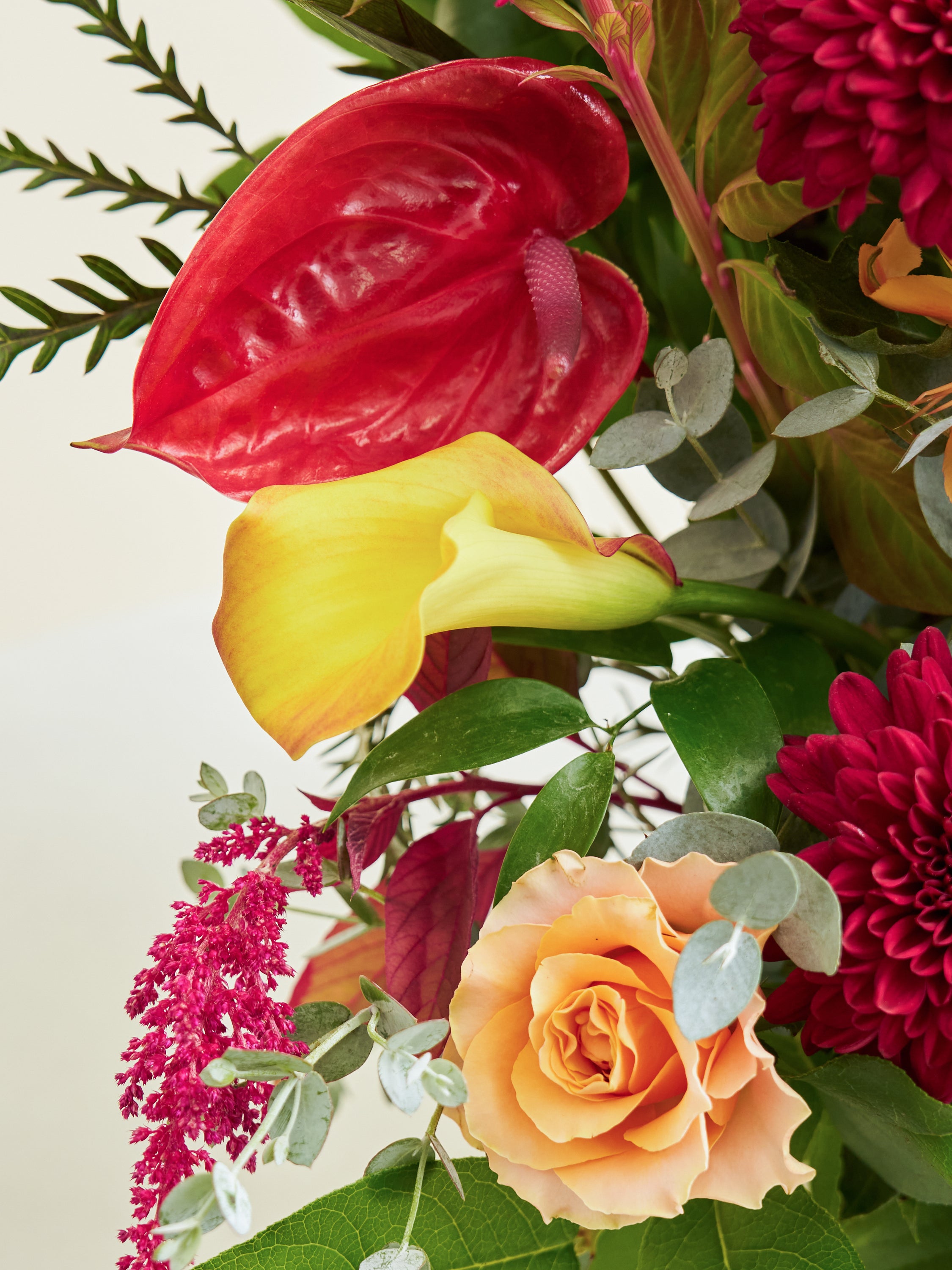 オータムシリーズ'25】秋色マムのアレンジメントL | お花の通販AND