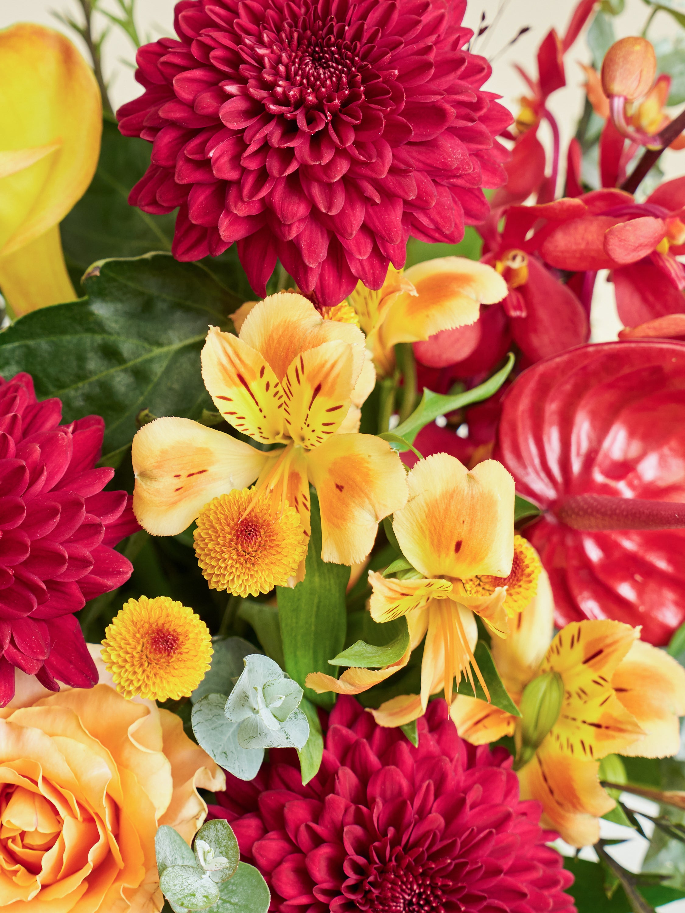 オータムシリーズ'25】秋色マムの生花アレンジメントM | お花の通販AND