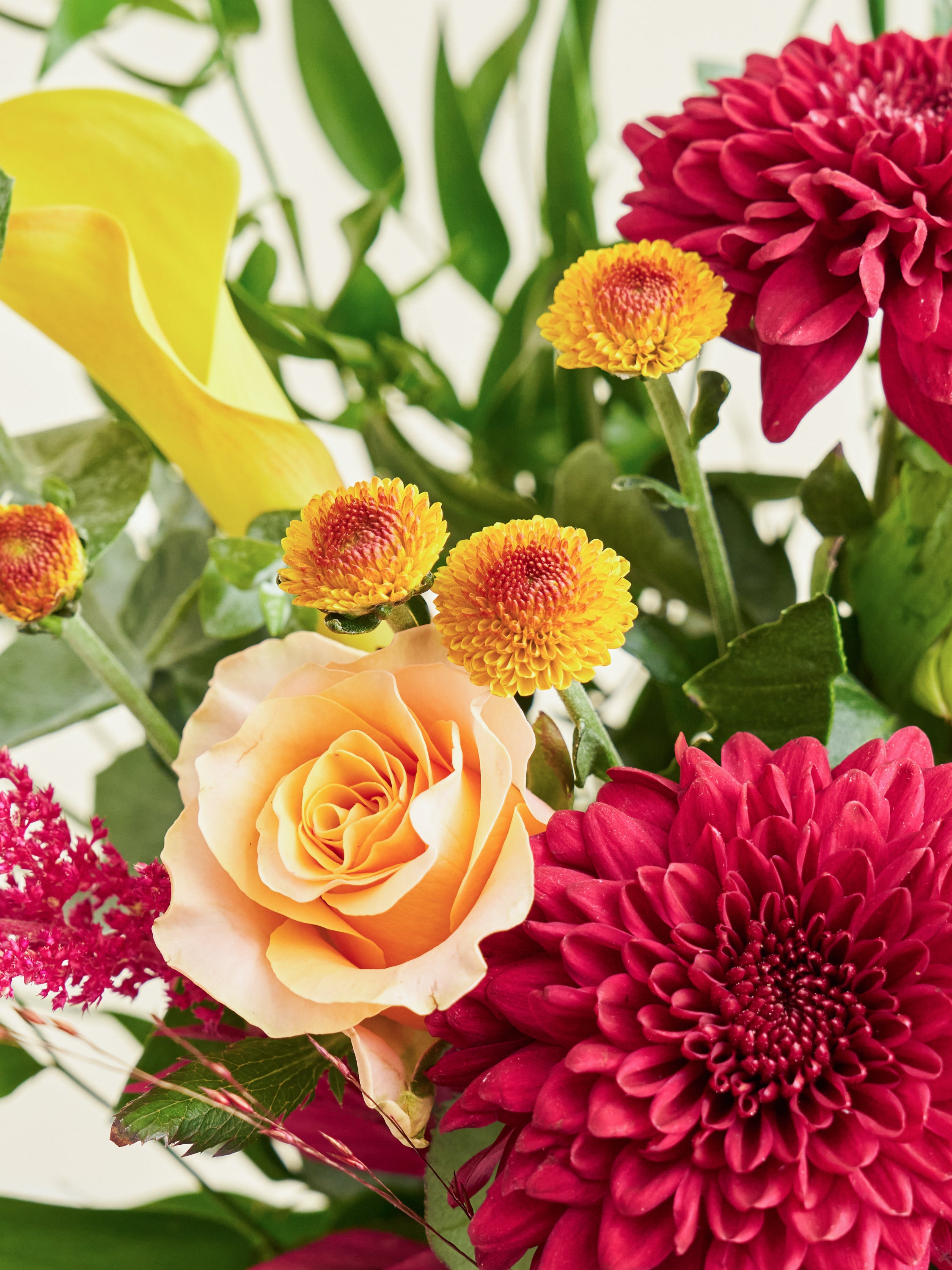 オータムシリーズ'25】秋色マムの生花の花束 L | お花の通販AND
