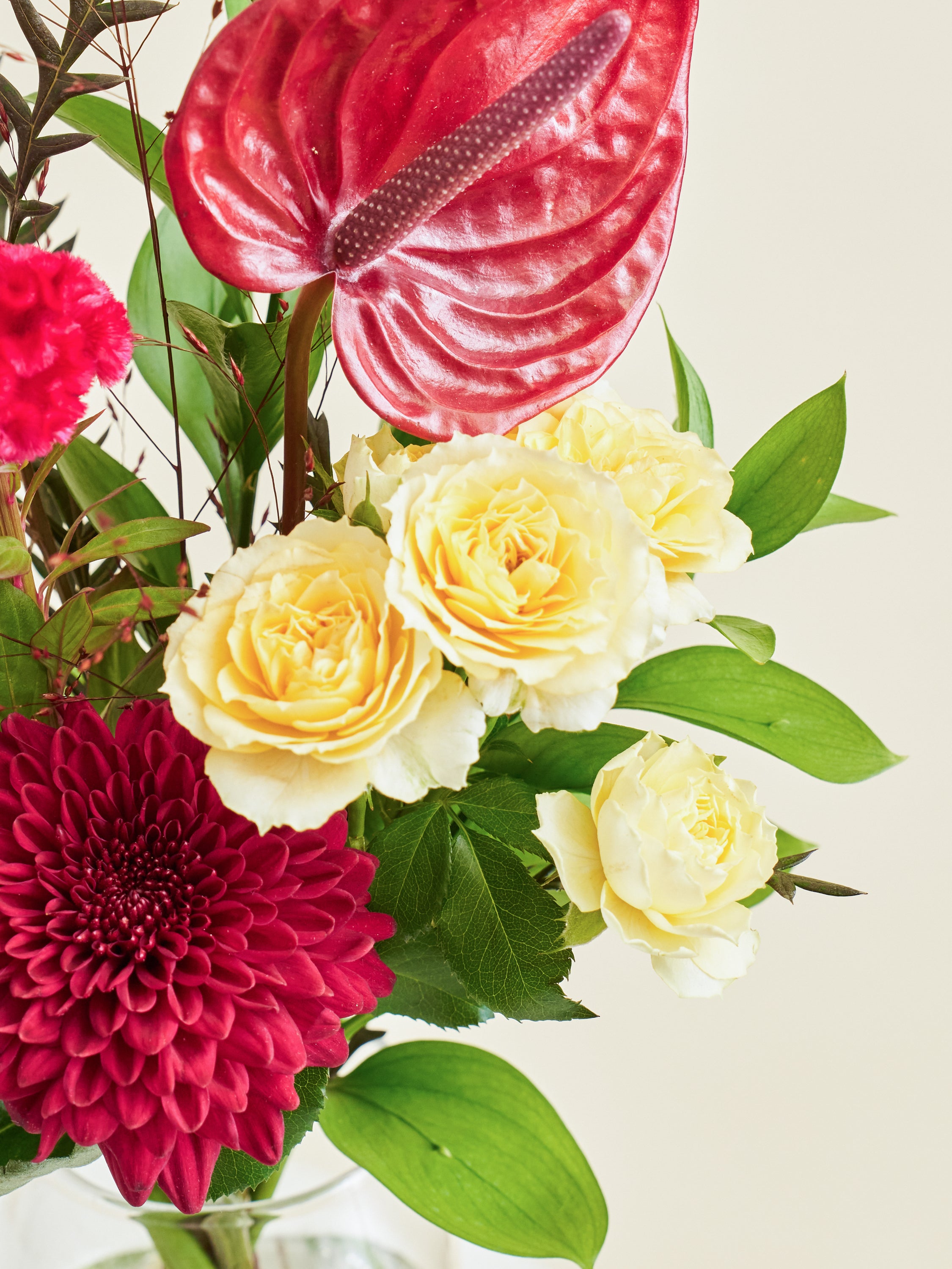 オータムシリーズ'25】ばら花冠茶とマムの花束Sのセット | お花の通販