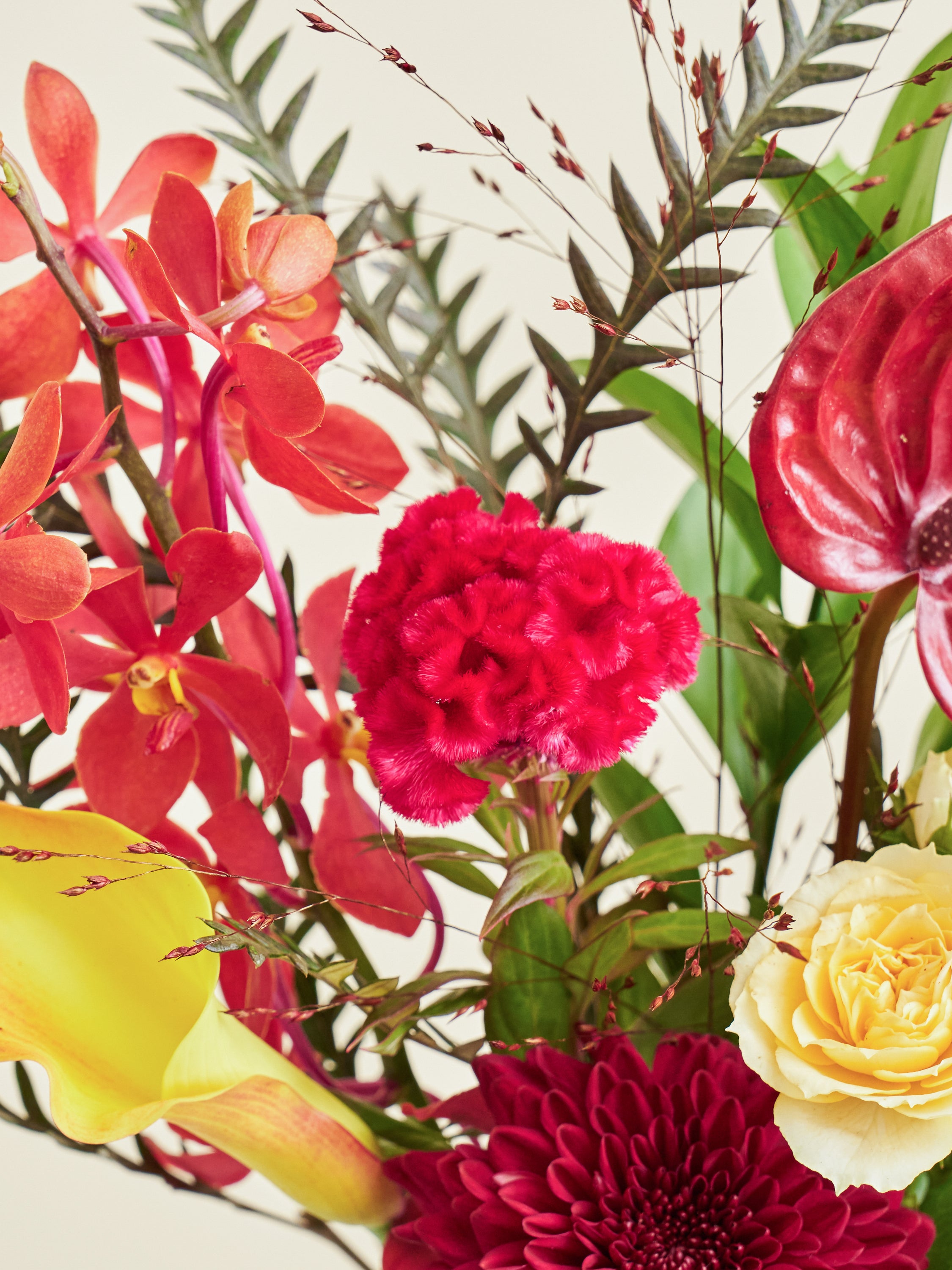 オータムシリーズ'25】ばら花冠茶とマムの花束Sのセット | お花の通販