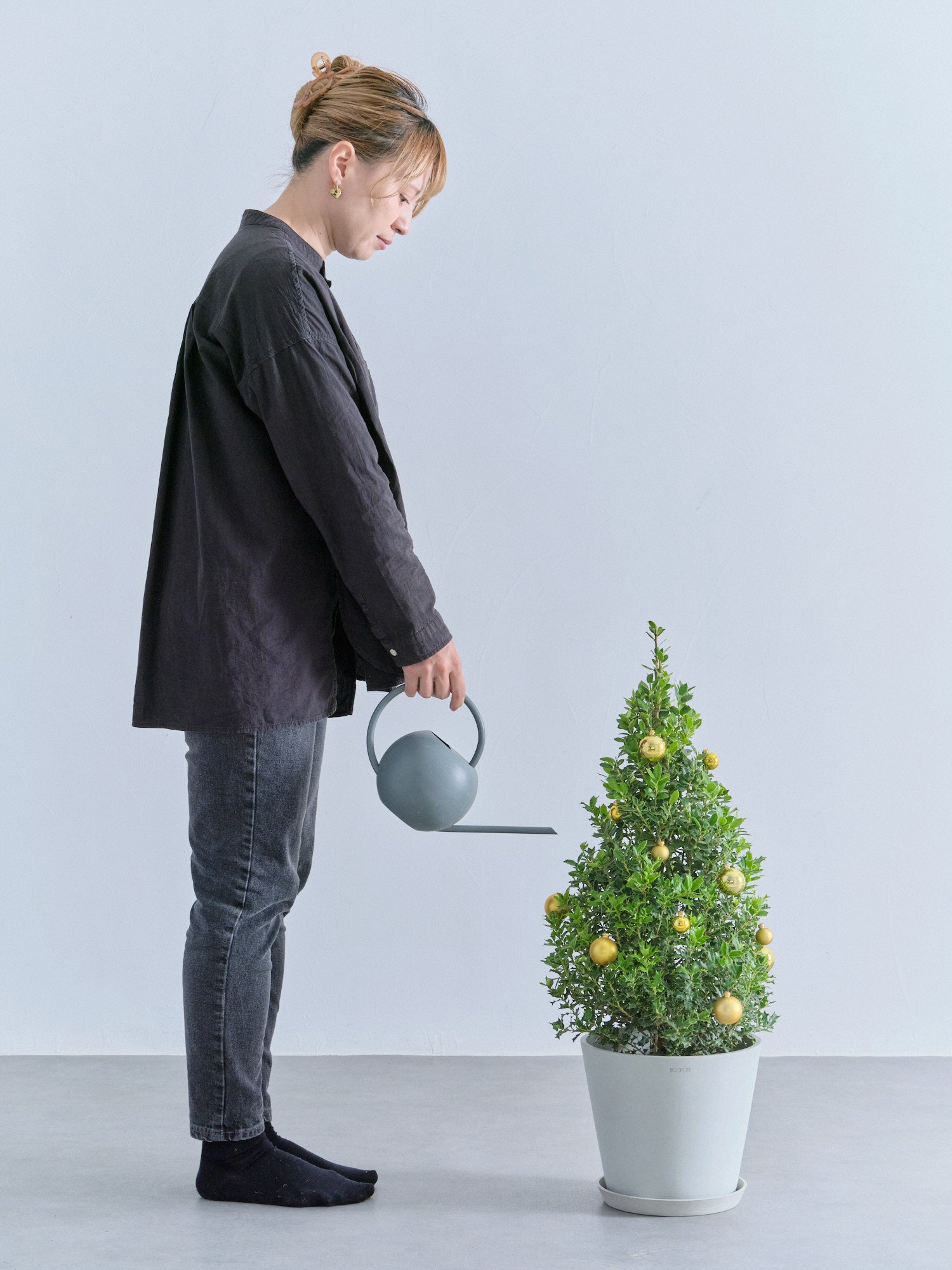 クリスマス】ひいらぎツリー -ゴールド- M | 観葉植物の通販 AND