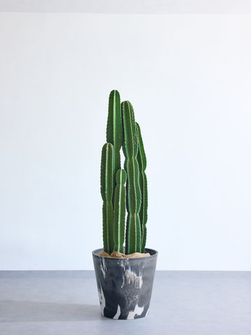 柱サボテン XL【全国発送可能】(樹脂ポット ブラックマーブル)