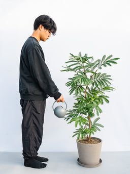 エバーフレッシュ L