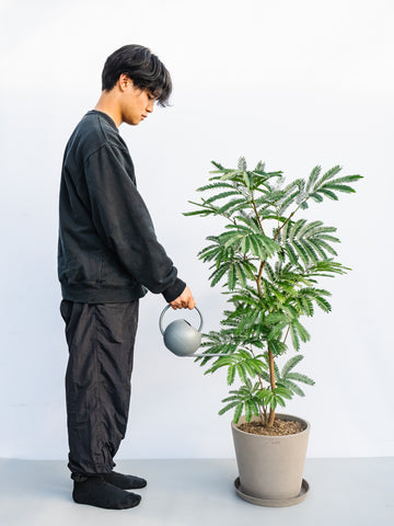 エバーフレッシュ L