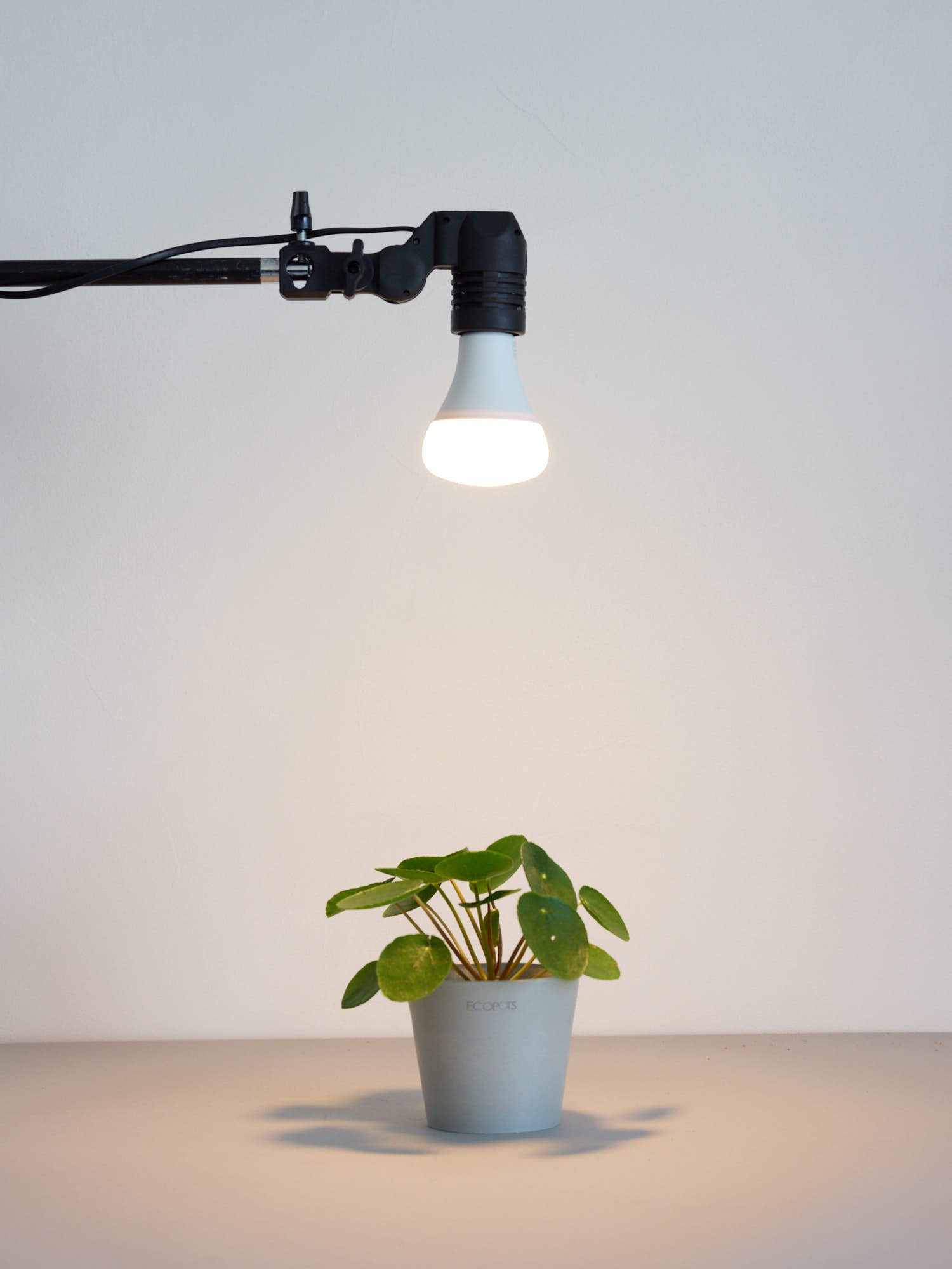植物用ライト 60ワット WARM