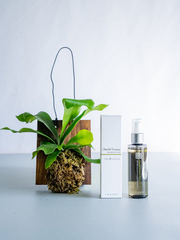 【クリスマスシリーズ