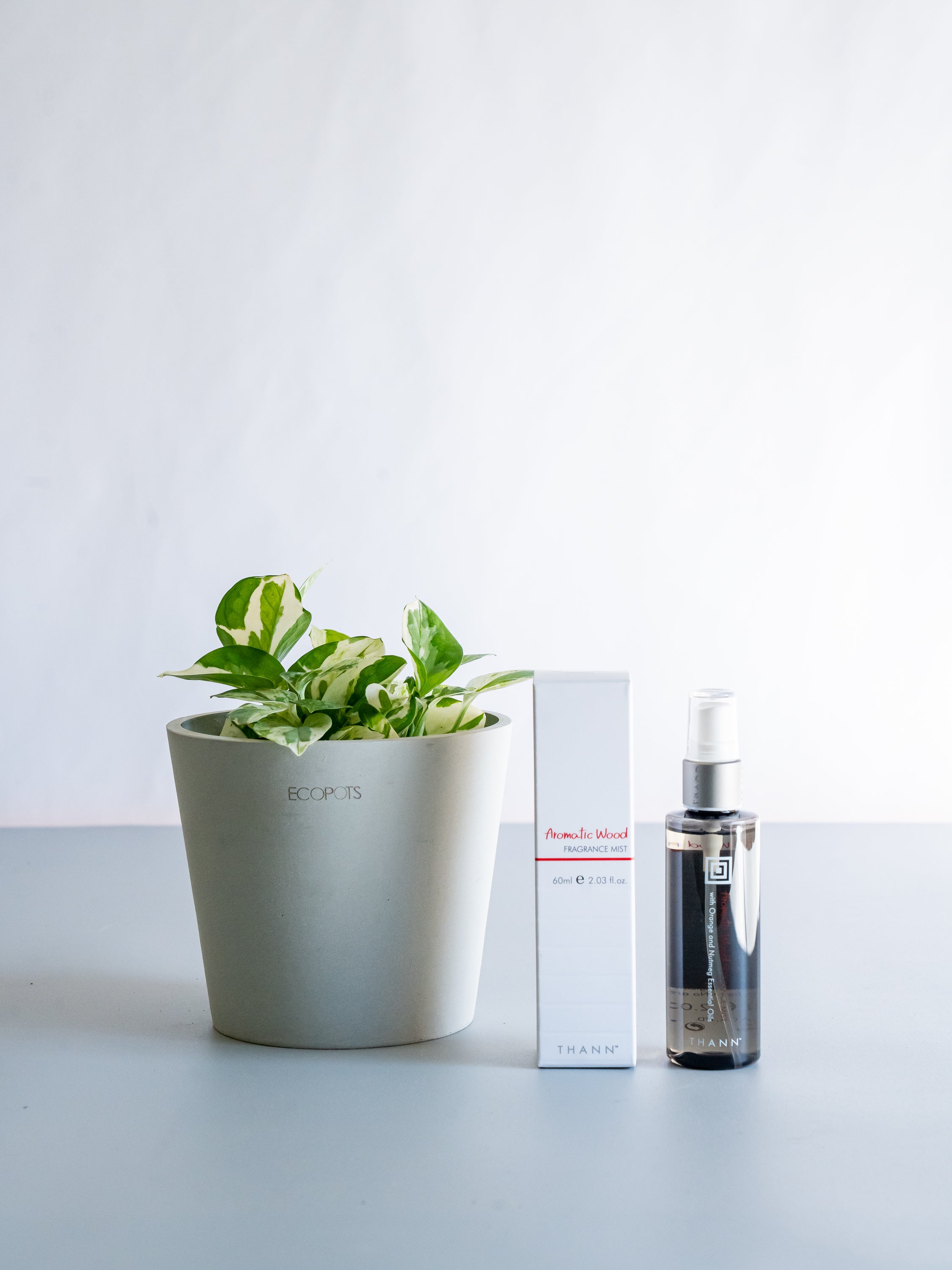 【クリスマスシリーズ