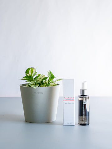 【クリスマスシリーズ