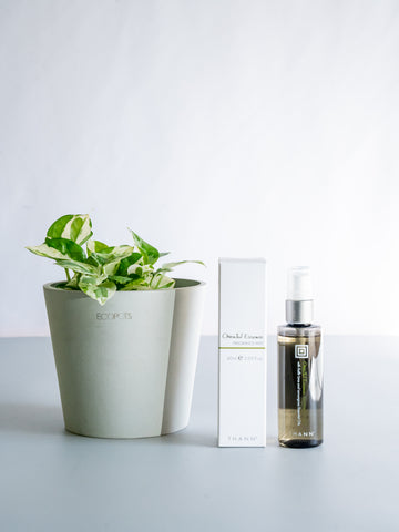 【クリスマスシリーズ