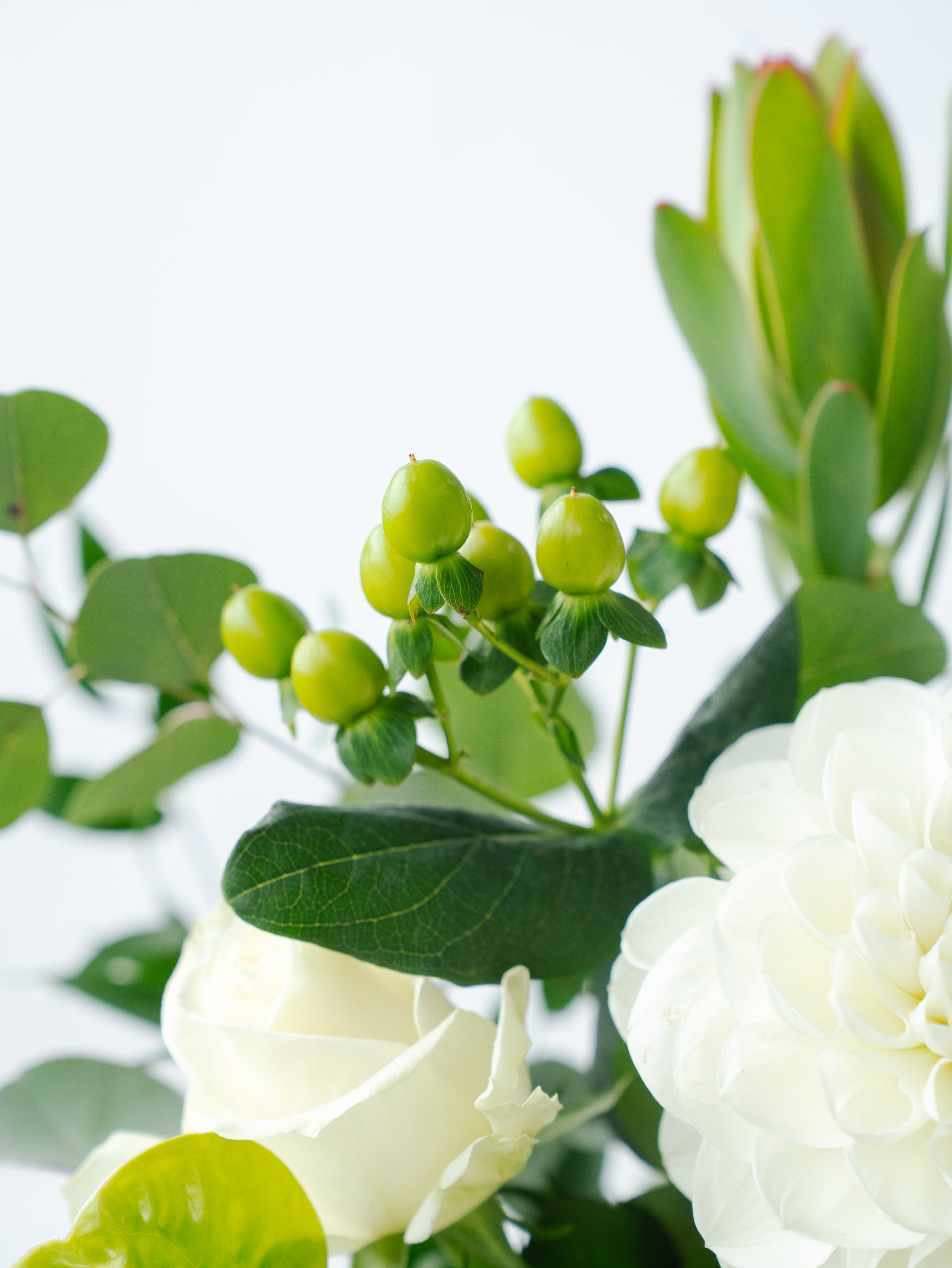 季節のおまかせ生花アレンジ XL - グリーン＆ホワイト - | お花の通販