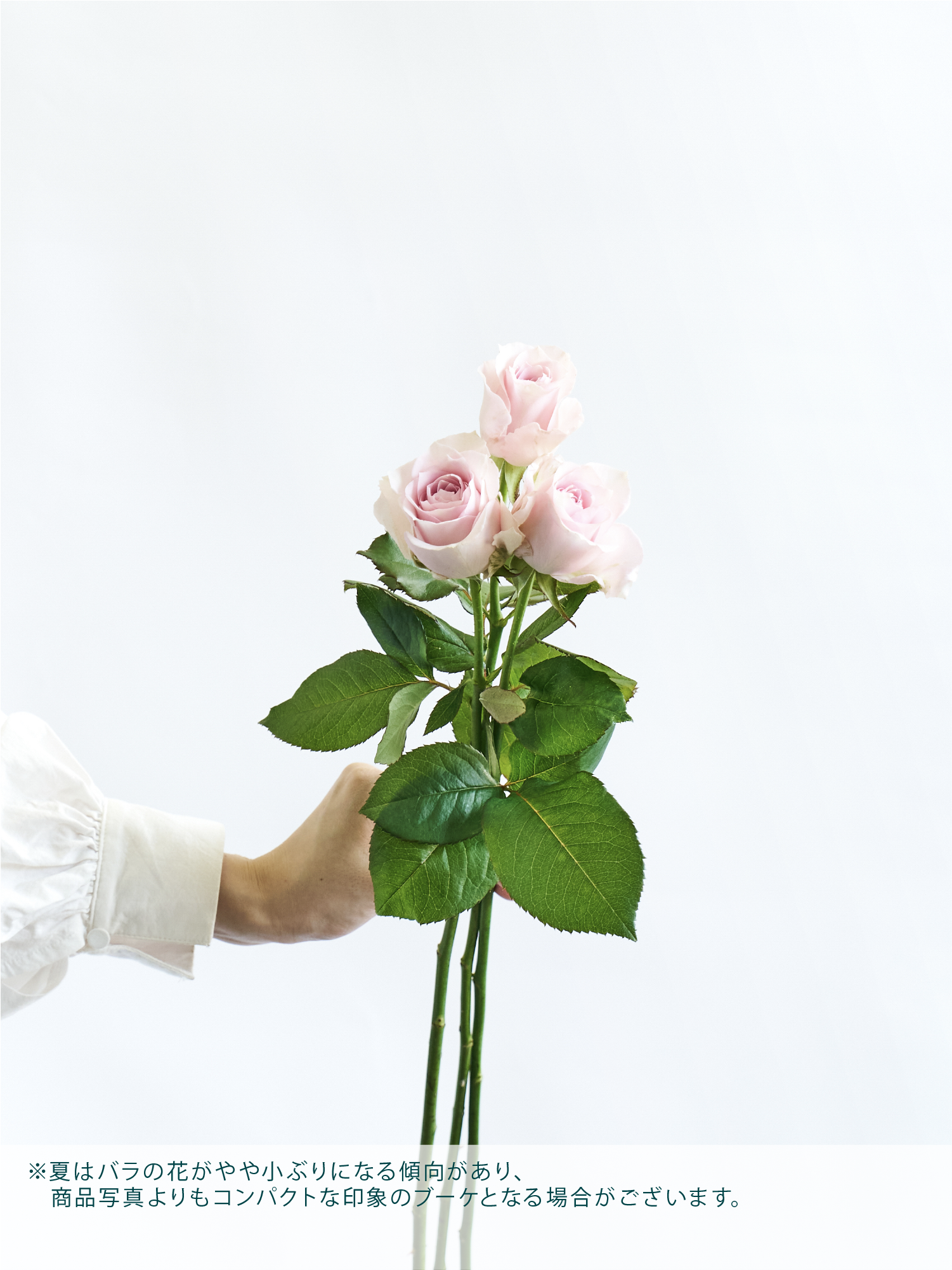 誕生日ギフト】バラの花束 9本 - ピンク - | お花の通販AND FLOWER 誕生日ギフト】バラの花束 9本 - ピンク - | お花の通販AND FLOWER