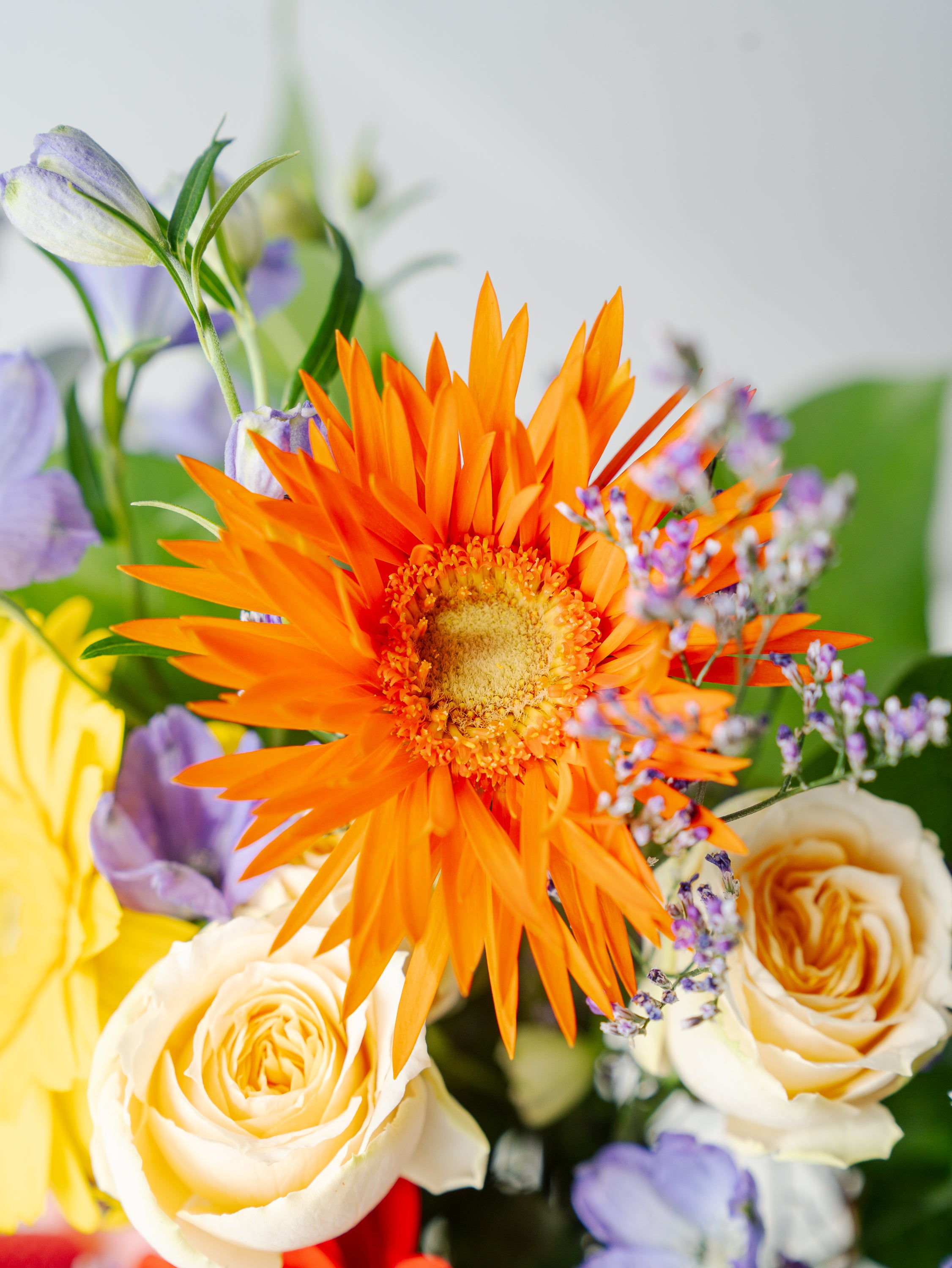 琉球風水志シウマさん監修】結びの花束 | お花の通販AND PLANTS