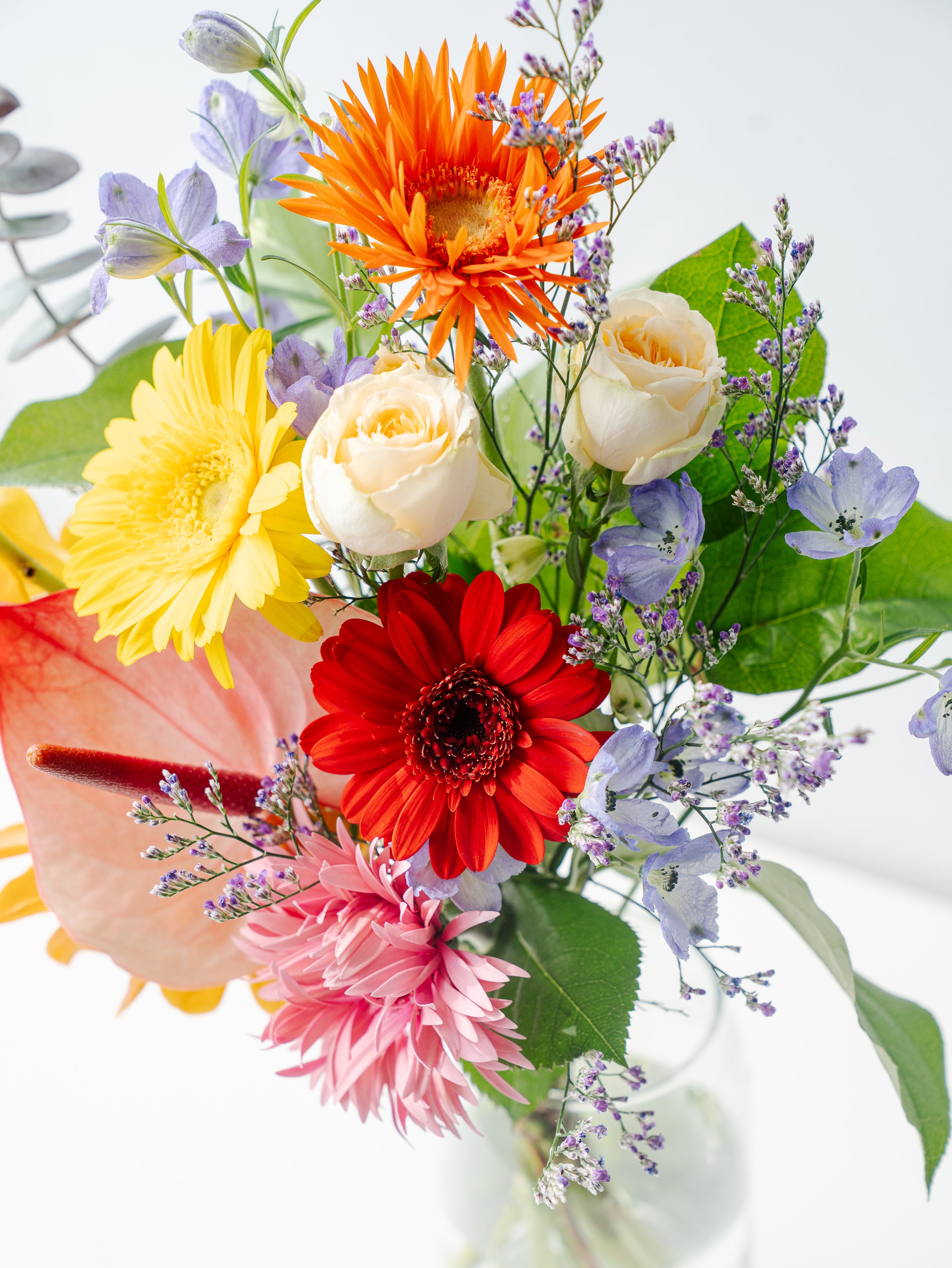 琉球風水志シウマさん監修】結びの花束 | お花の通販AND PLANTS