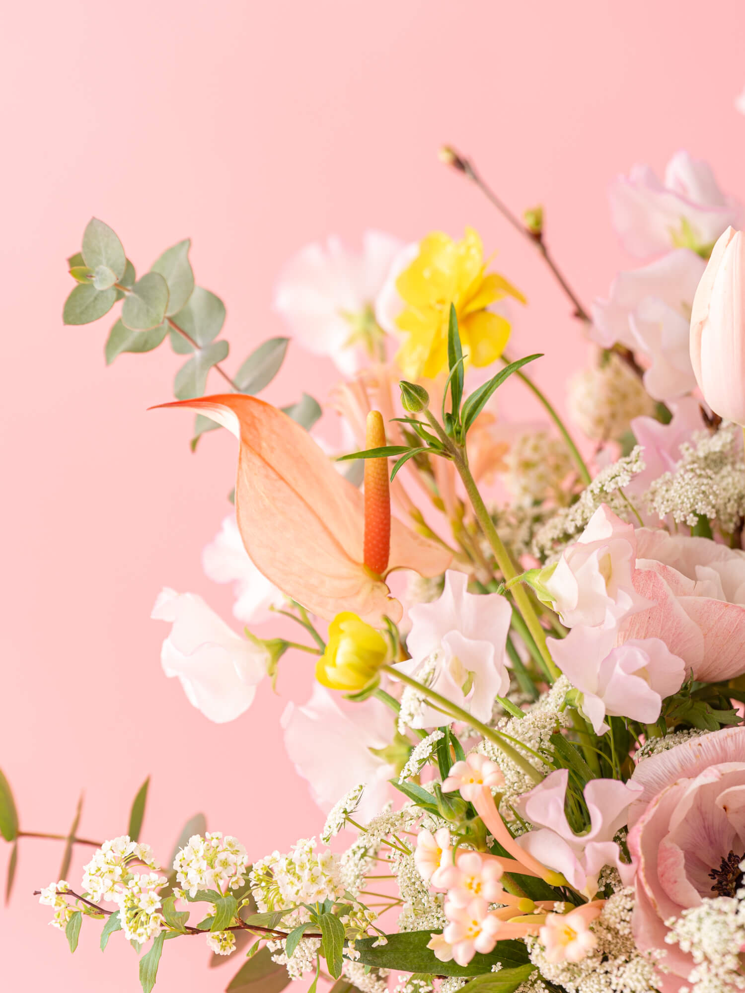 【スプリングシリーズ'24】アネモネとチューリップの桜色生花ブーケ L