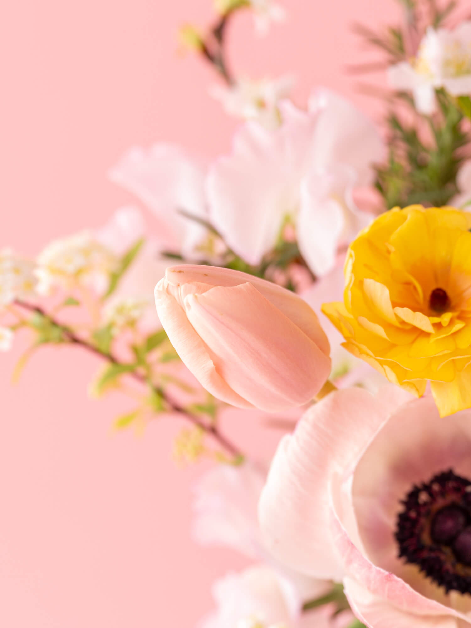 【スプリングシリーズ'24】アネモネとチューリップの桜色生花ブーケ S