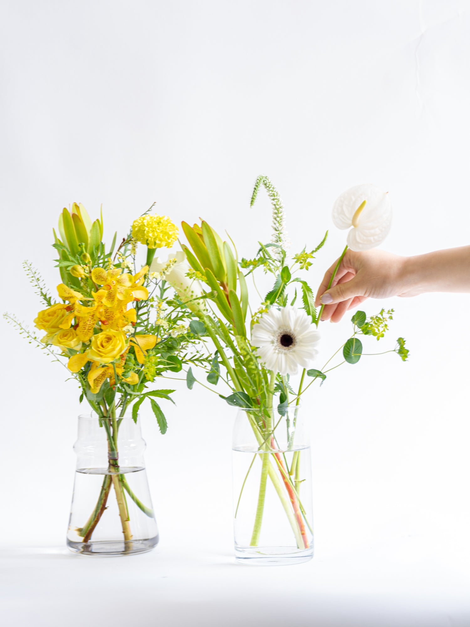 お花の定期便-スタンダード-